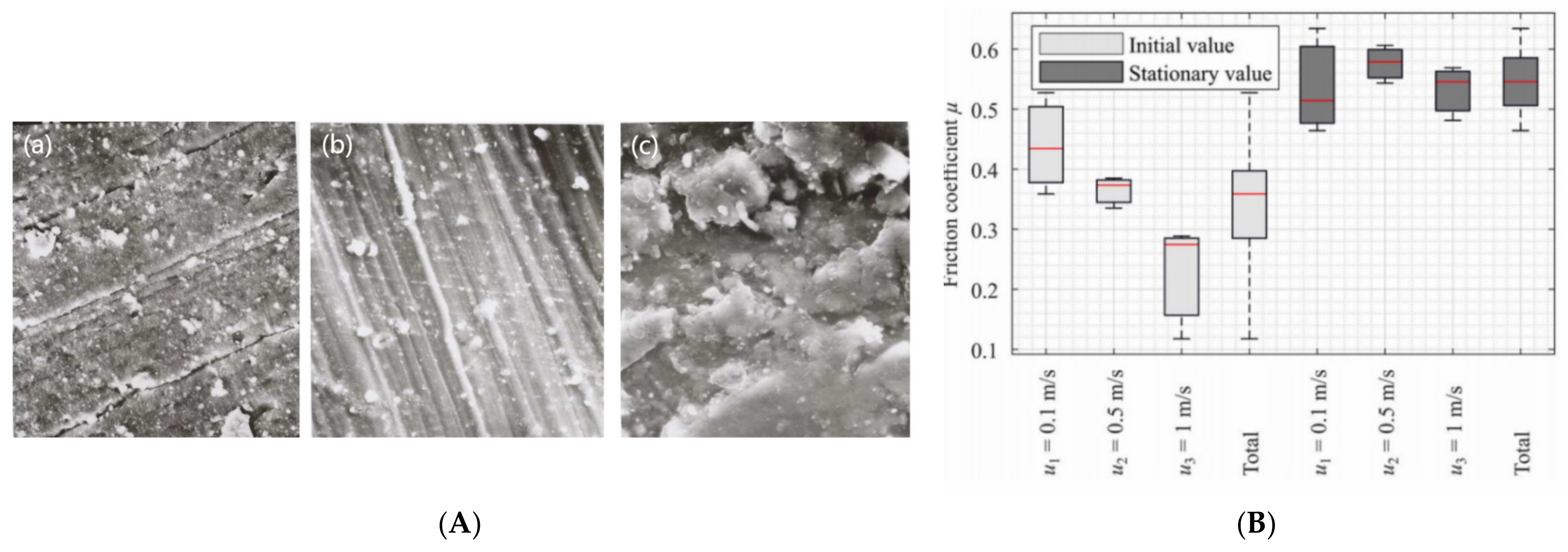 Lubricants 12 00312 g007
