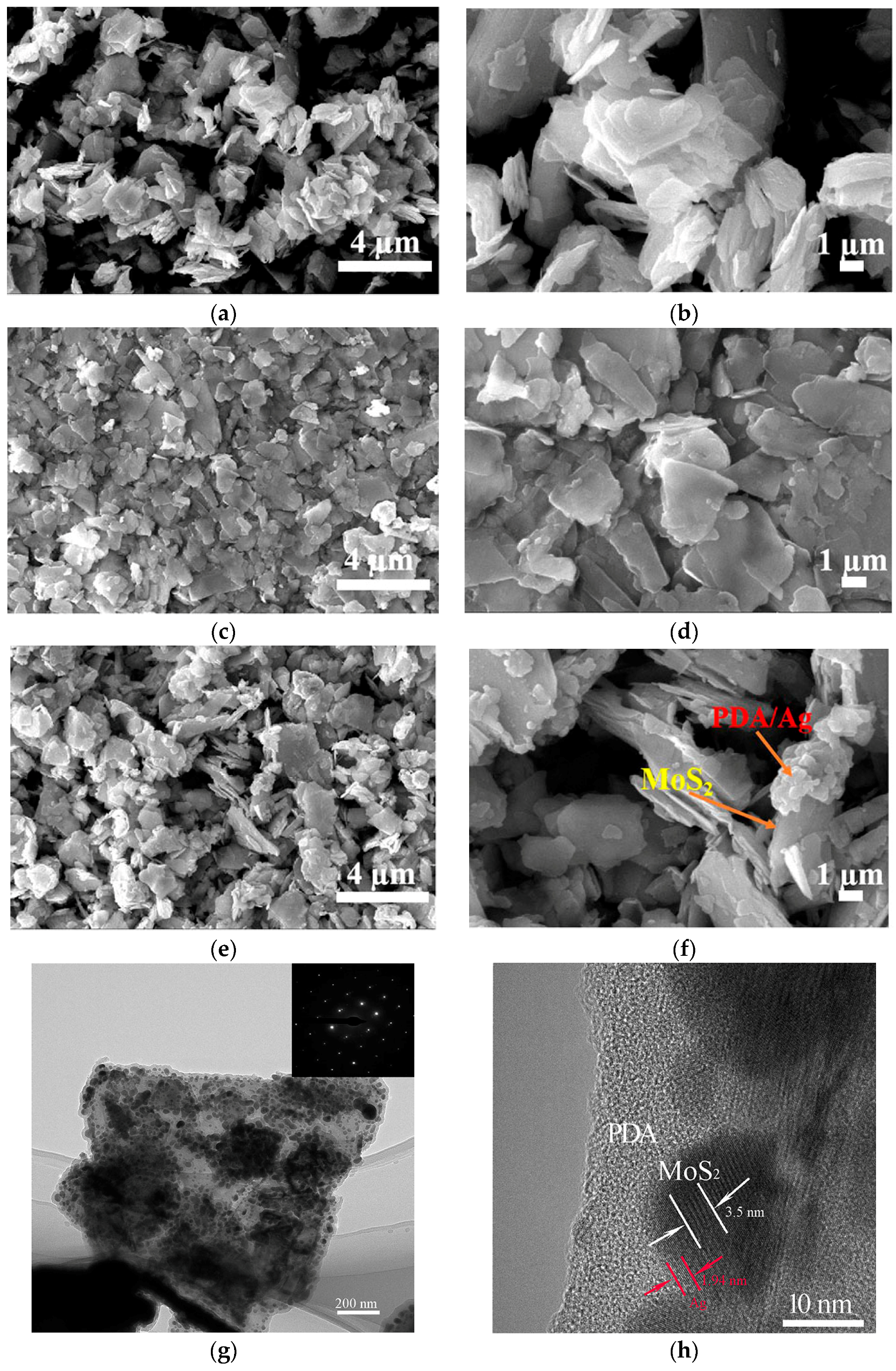 Lubricants 12 00319 g002