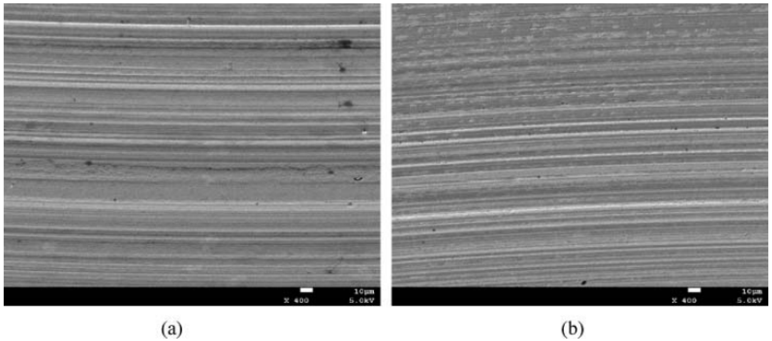 Lubricants 12 00324 g001