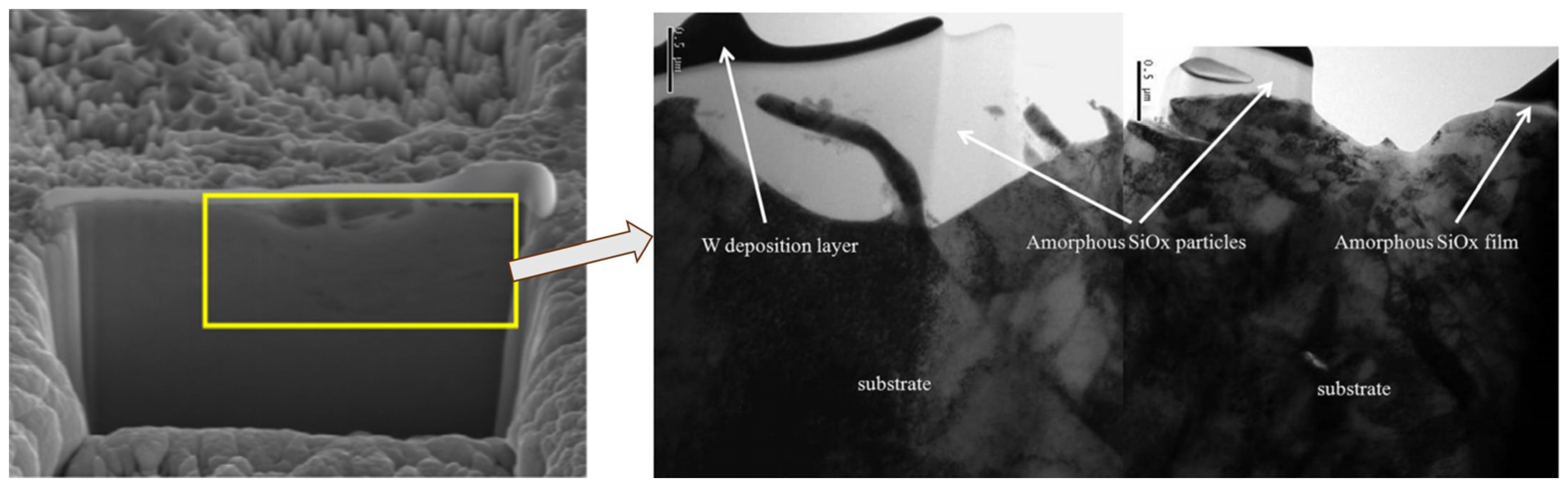 Lubricants 12 00324 g005