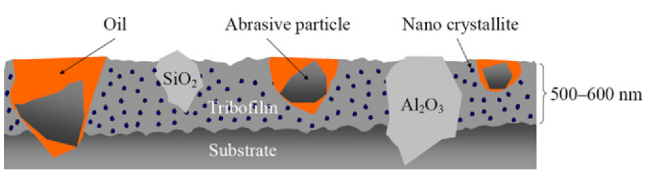 Lubricants 12 00324 g006
