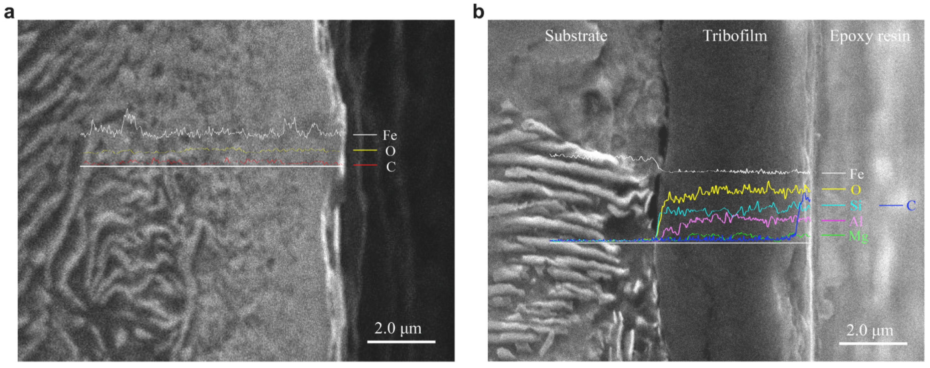 Lubricants 12 00324 g009