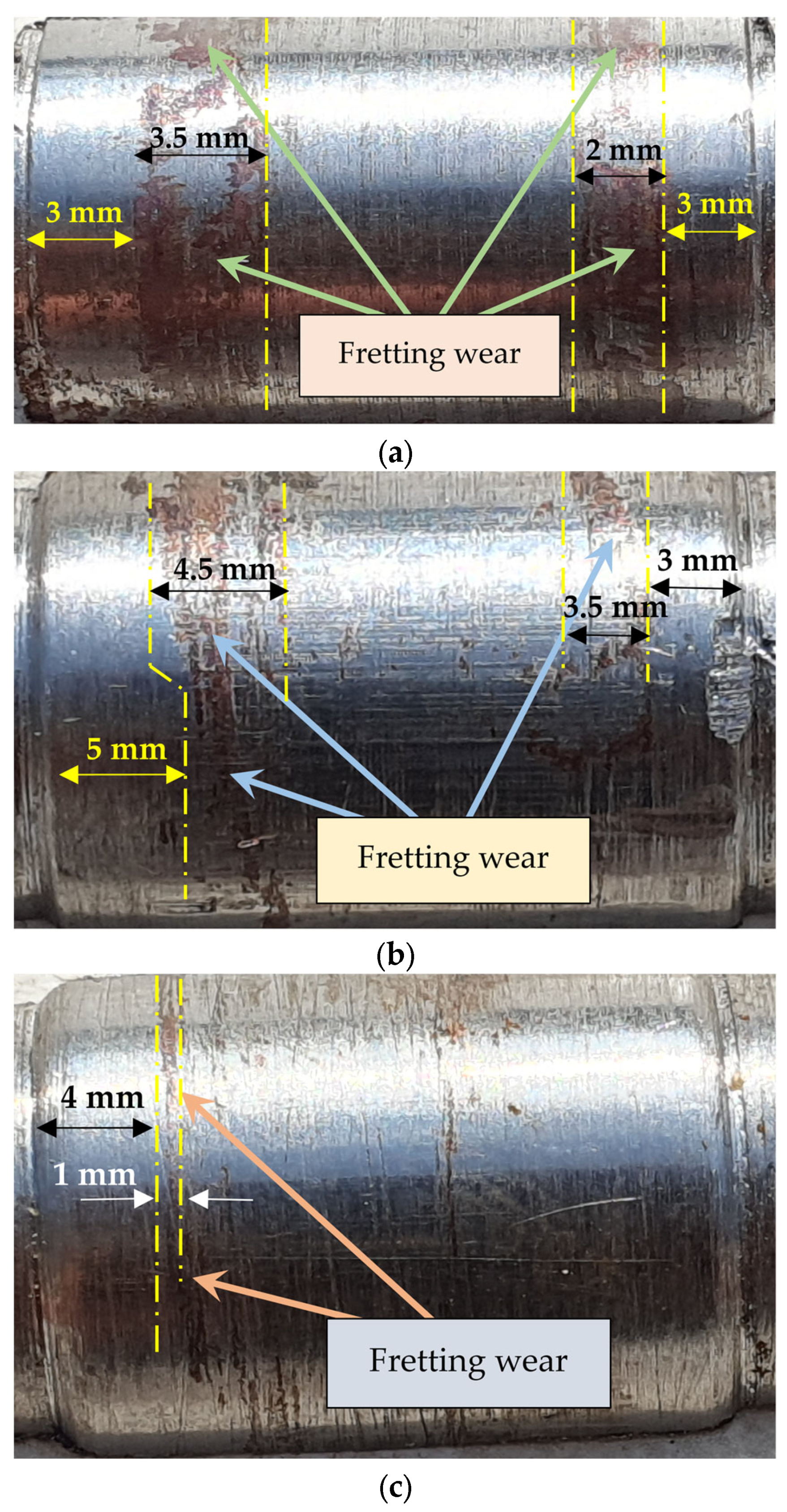 Lubricants 12 00327 g003