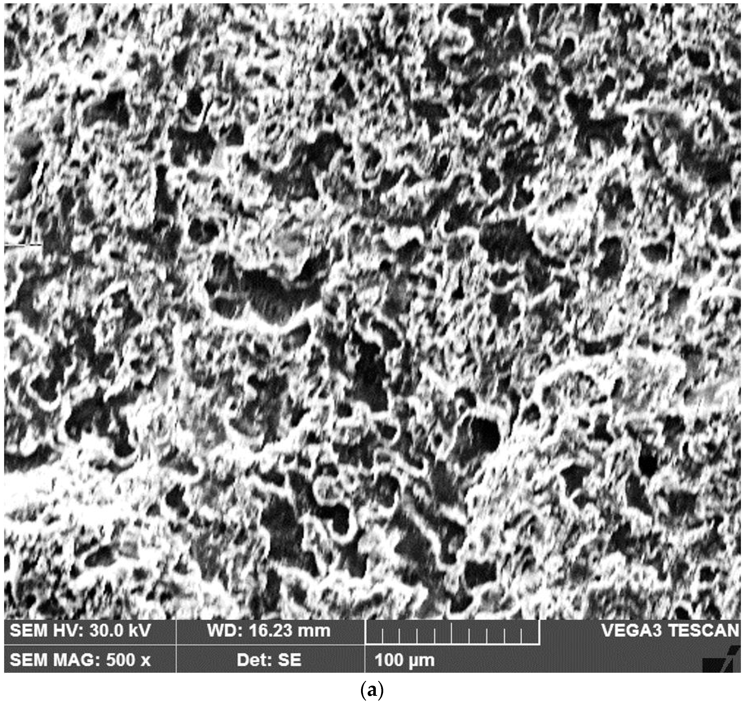 Lubricants 12 00330 g011a