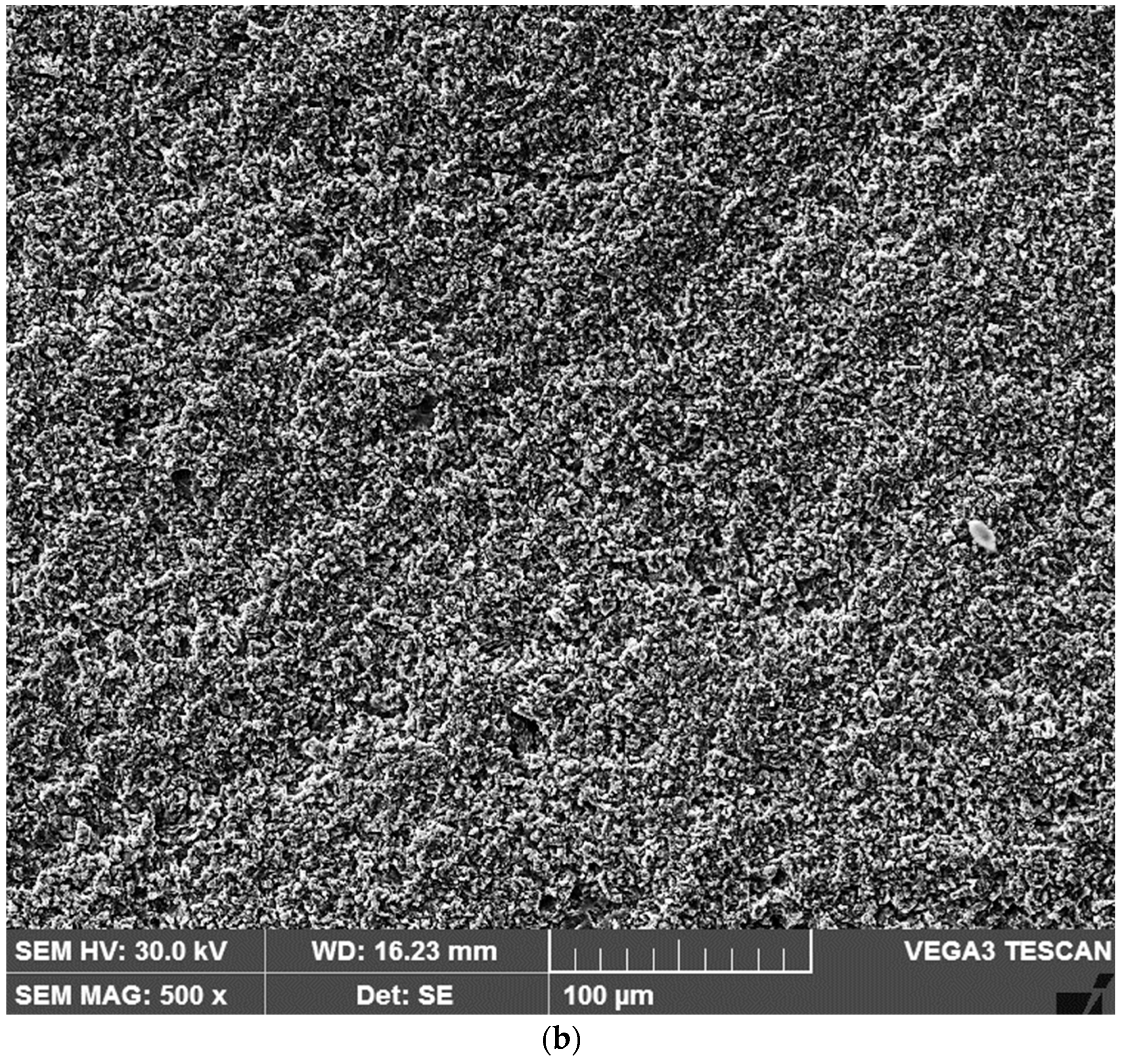 Lubricants 12 00330 g011b