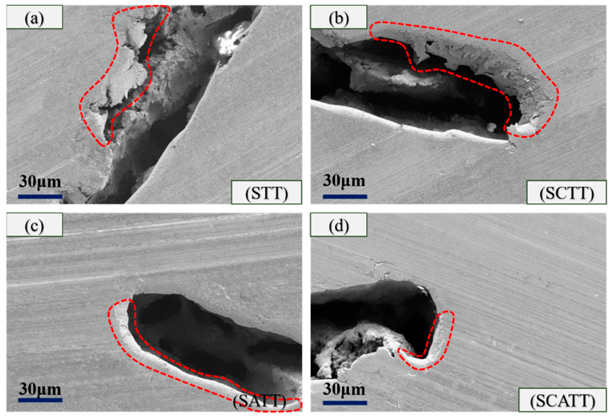 Lubricants 12 00336 g016
