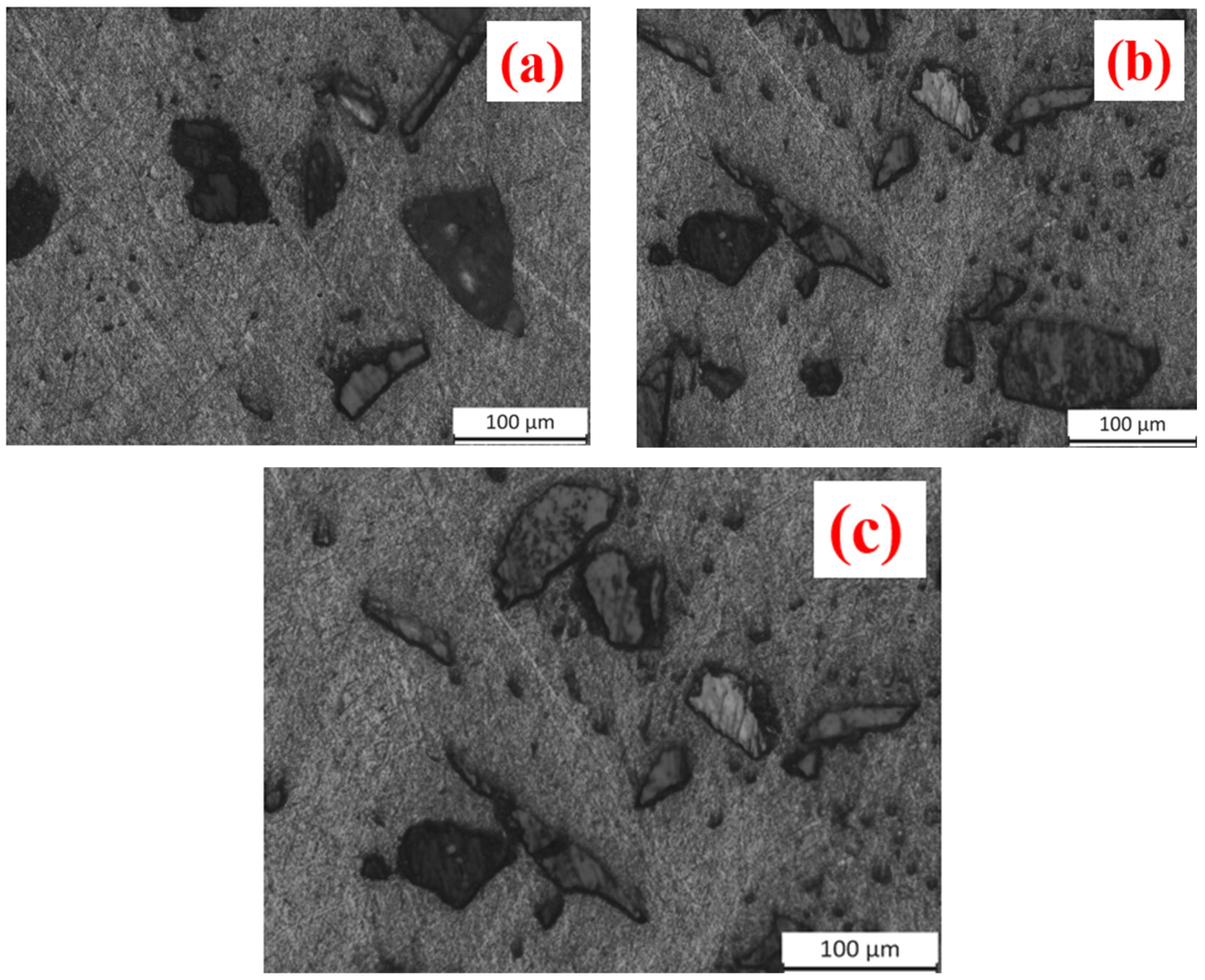 Lubricants 12 00341 g003