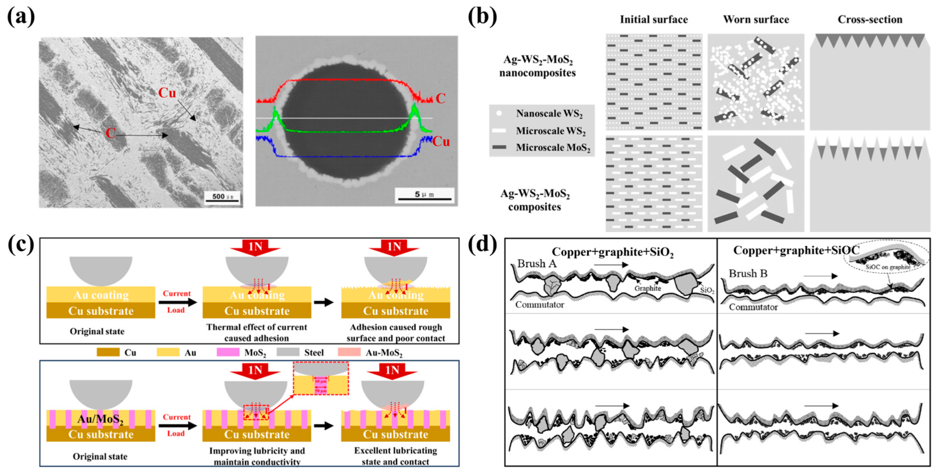 Lubricants 12 00349 g004