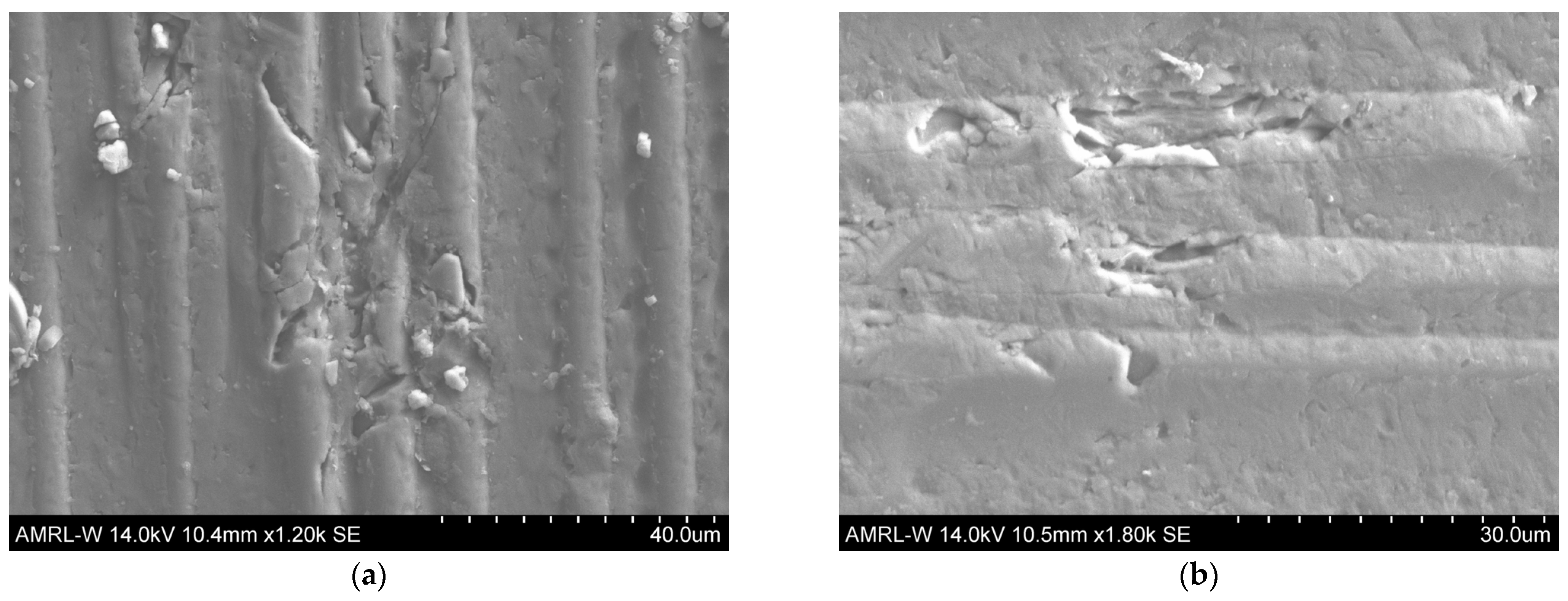 Lubricants 12 00375 g010