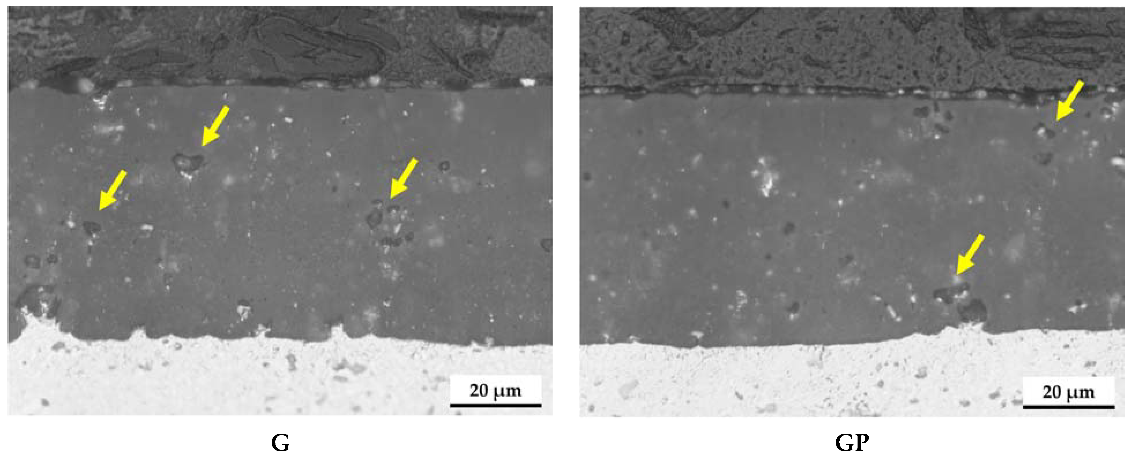 Lubricants 12 00383 g001