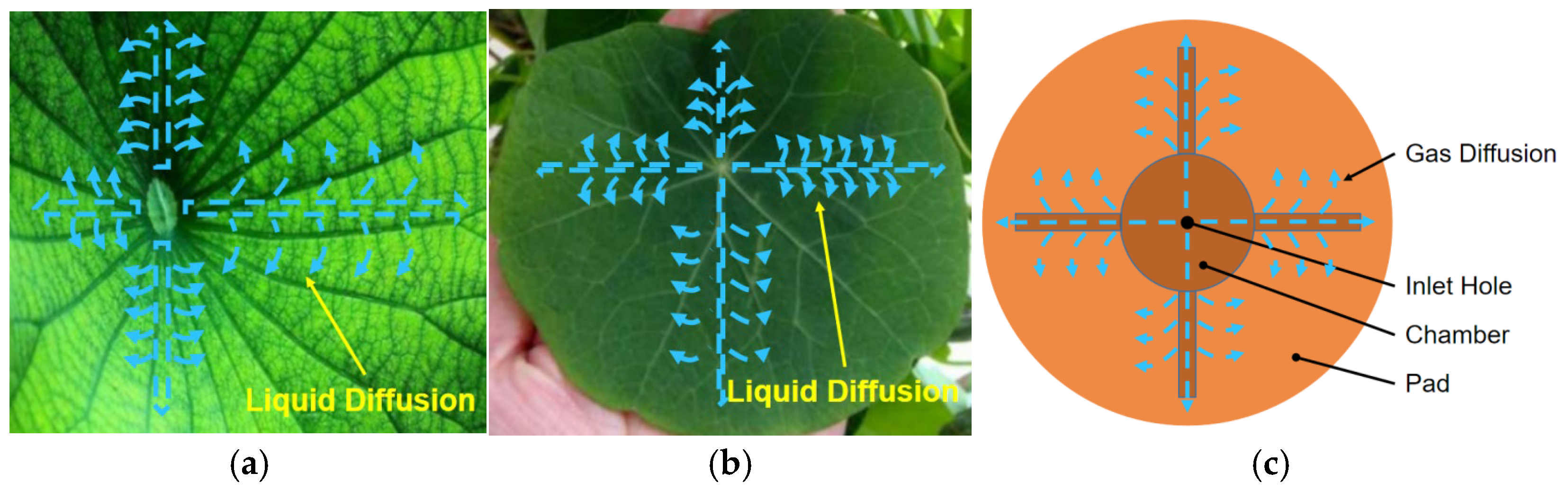 Lubricants 12 00385 g001