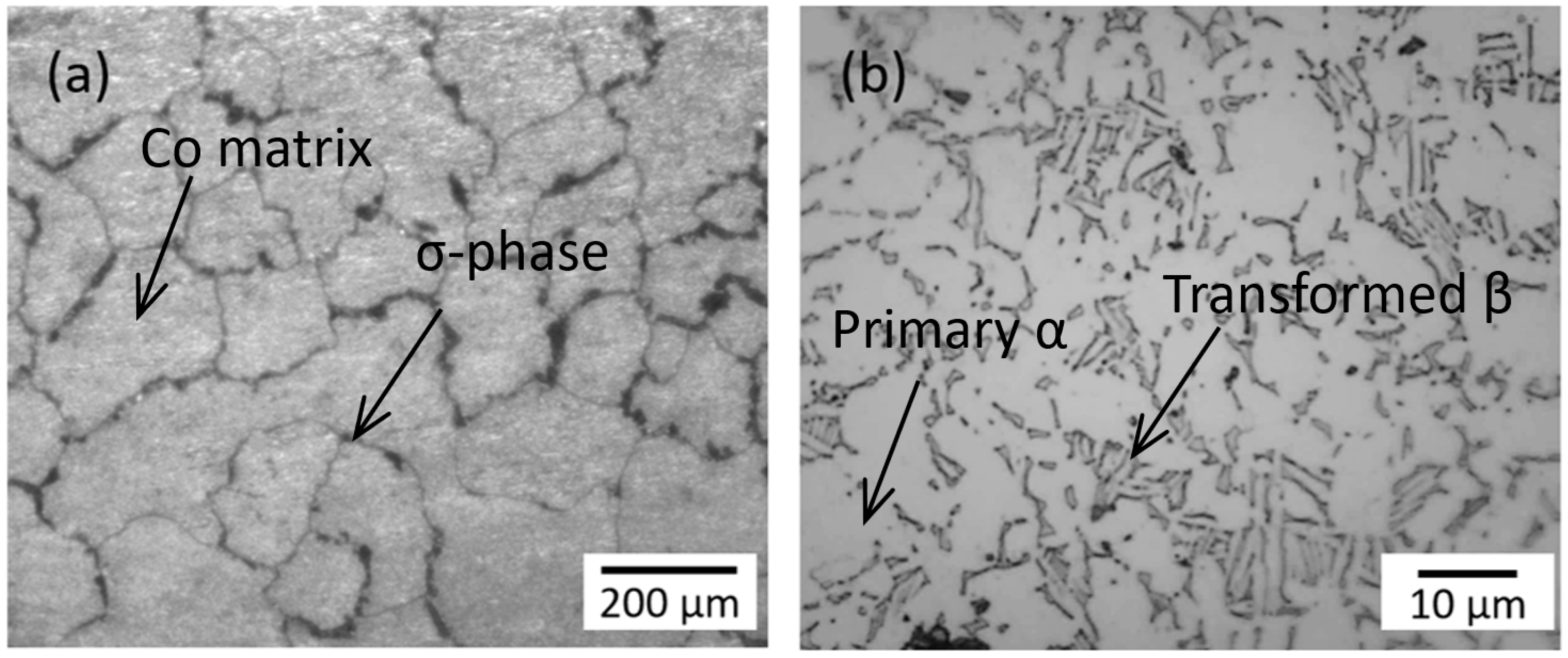 Lubricants 12 00437 g001