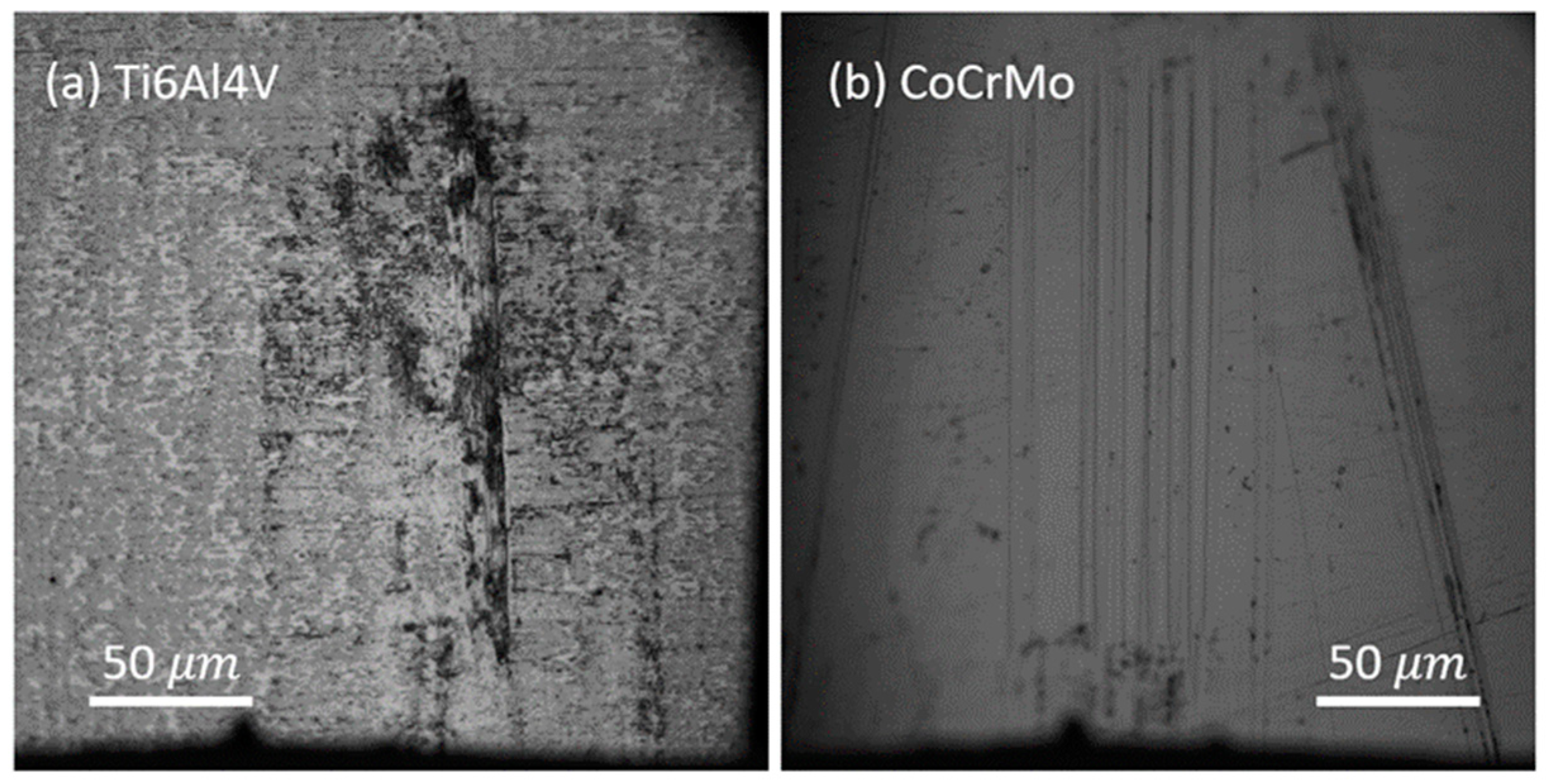 Lubricants 12 00437 g004