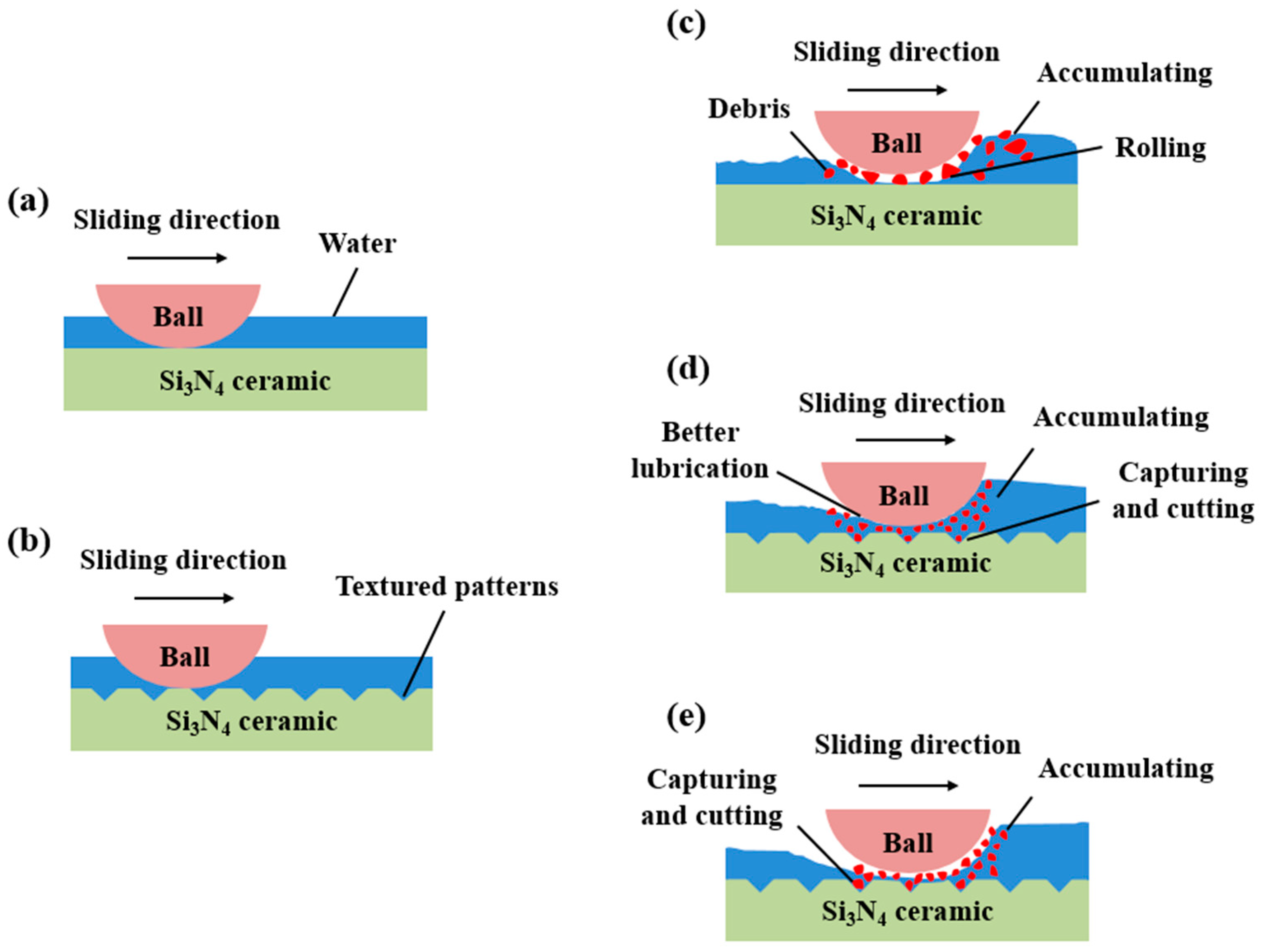 Lubricants 13 00021 g012