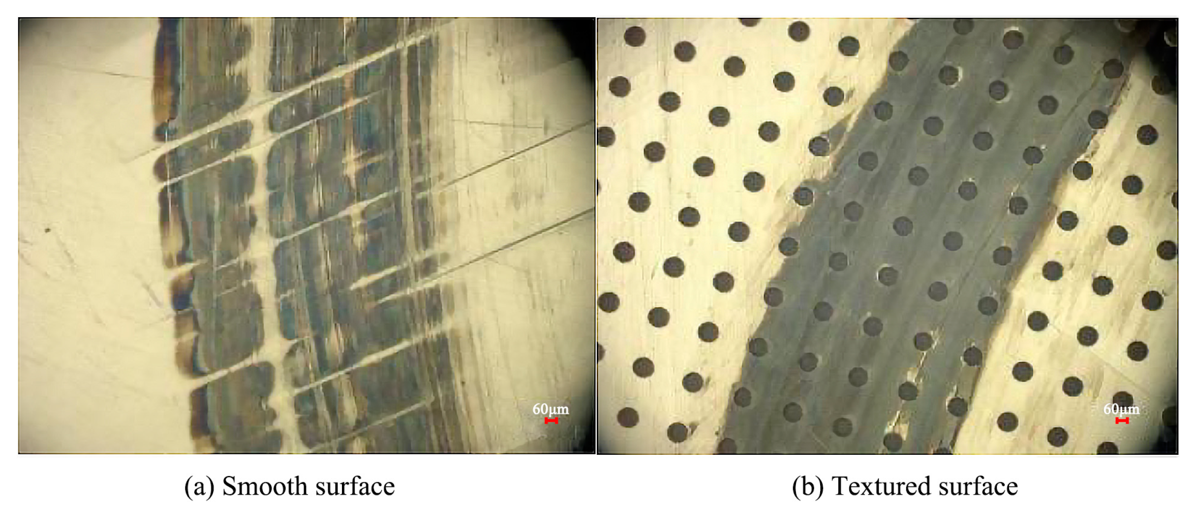 Lubricants 13 00041 g017