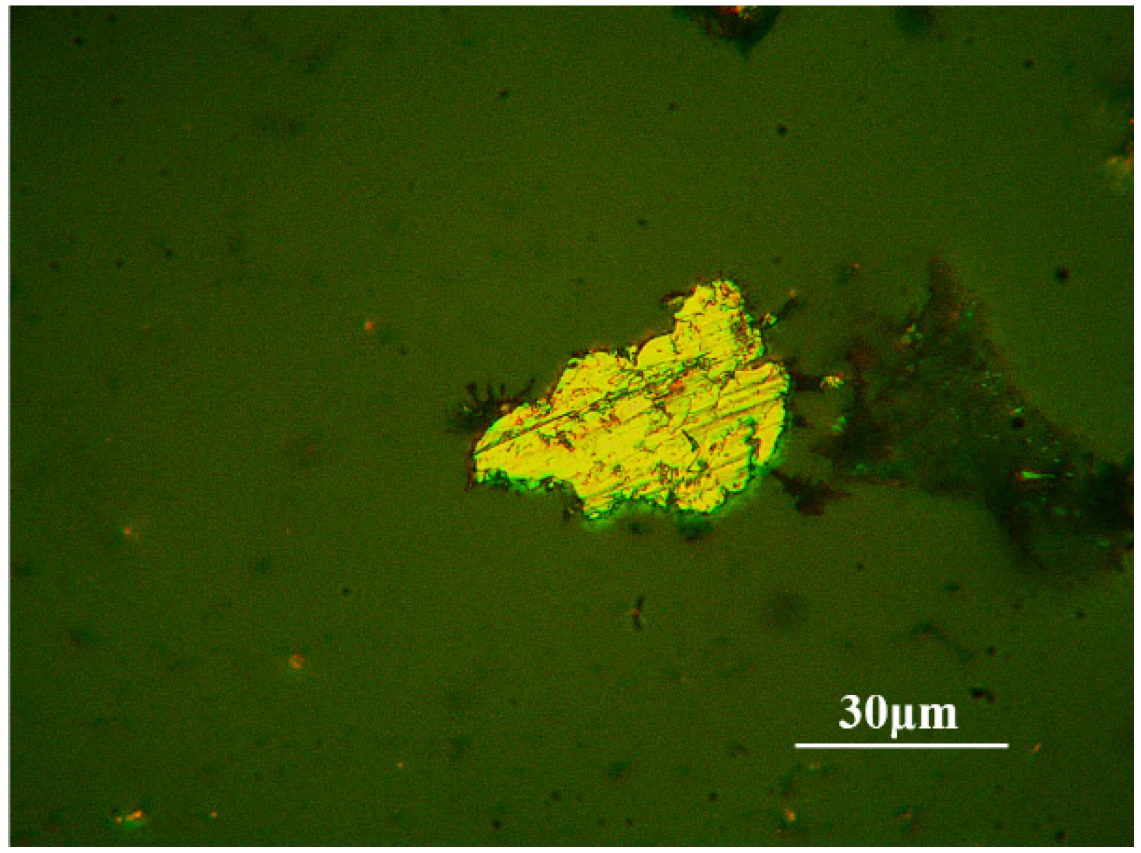 Lubricants 13 00107 g003