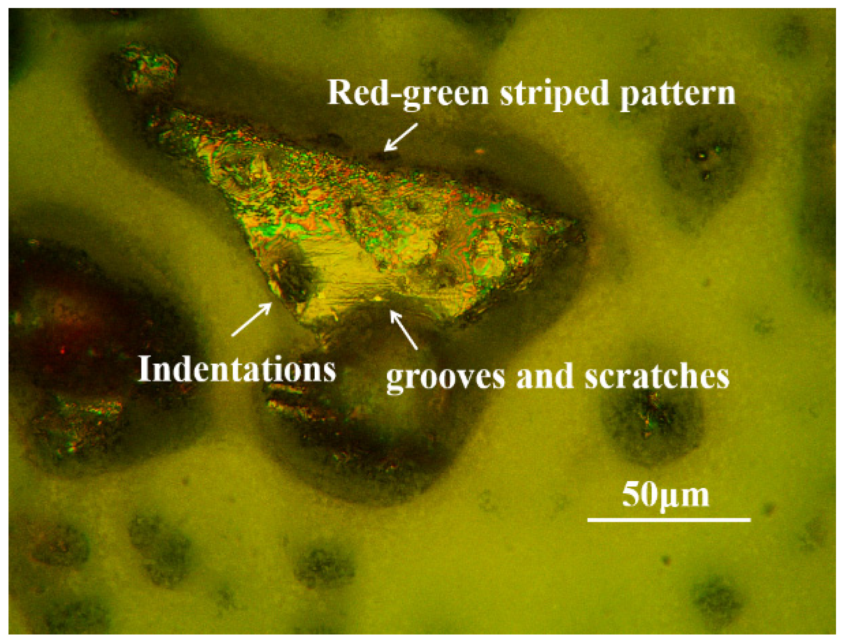Lubricants 13 00107 g005