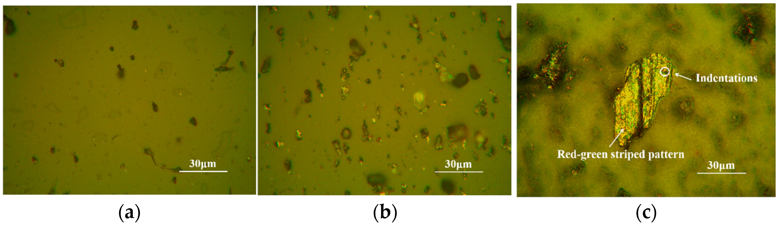 Lubricants 13 00107 g007