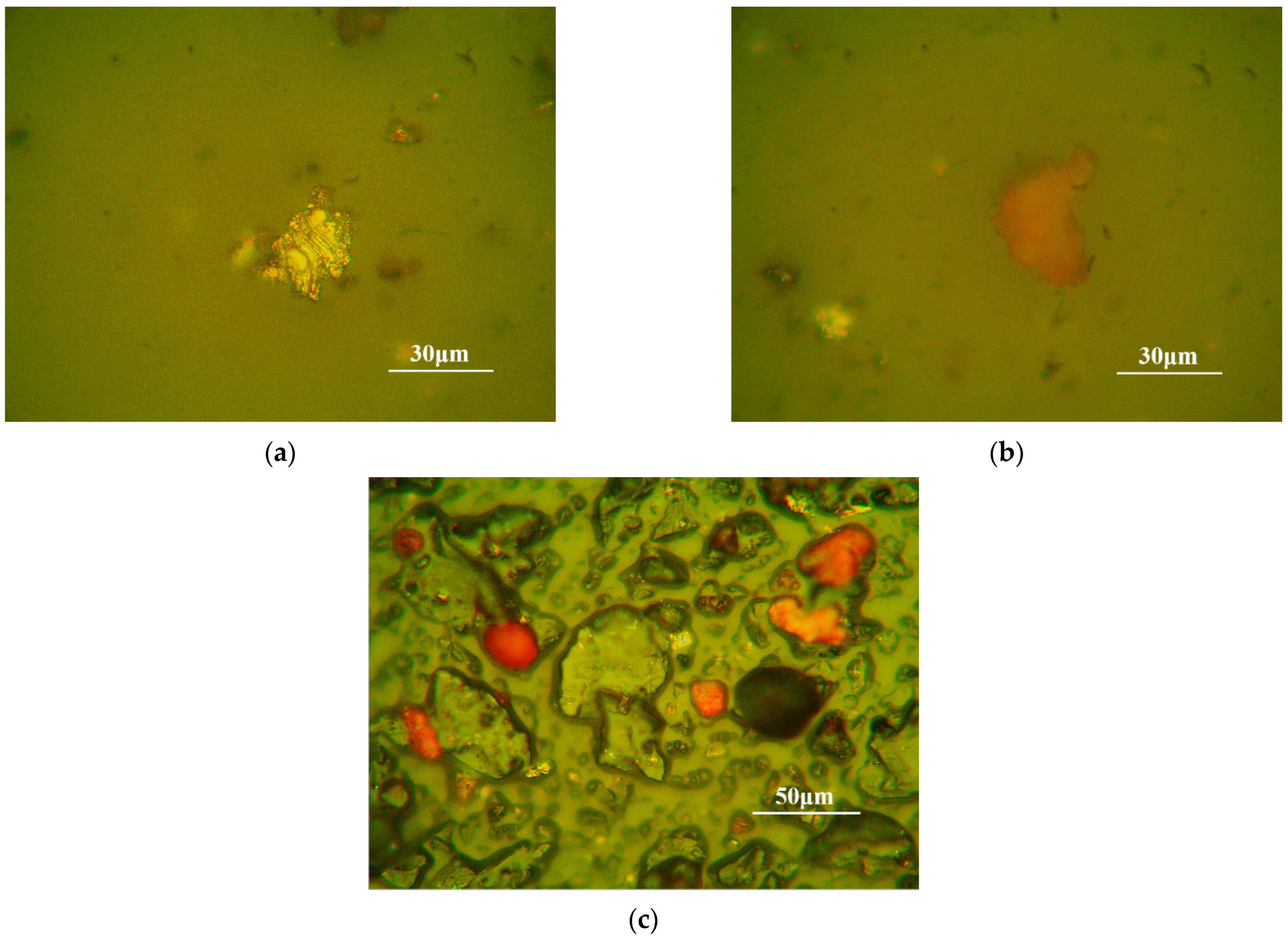 Lubricants 13 00107 g008