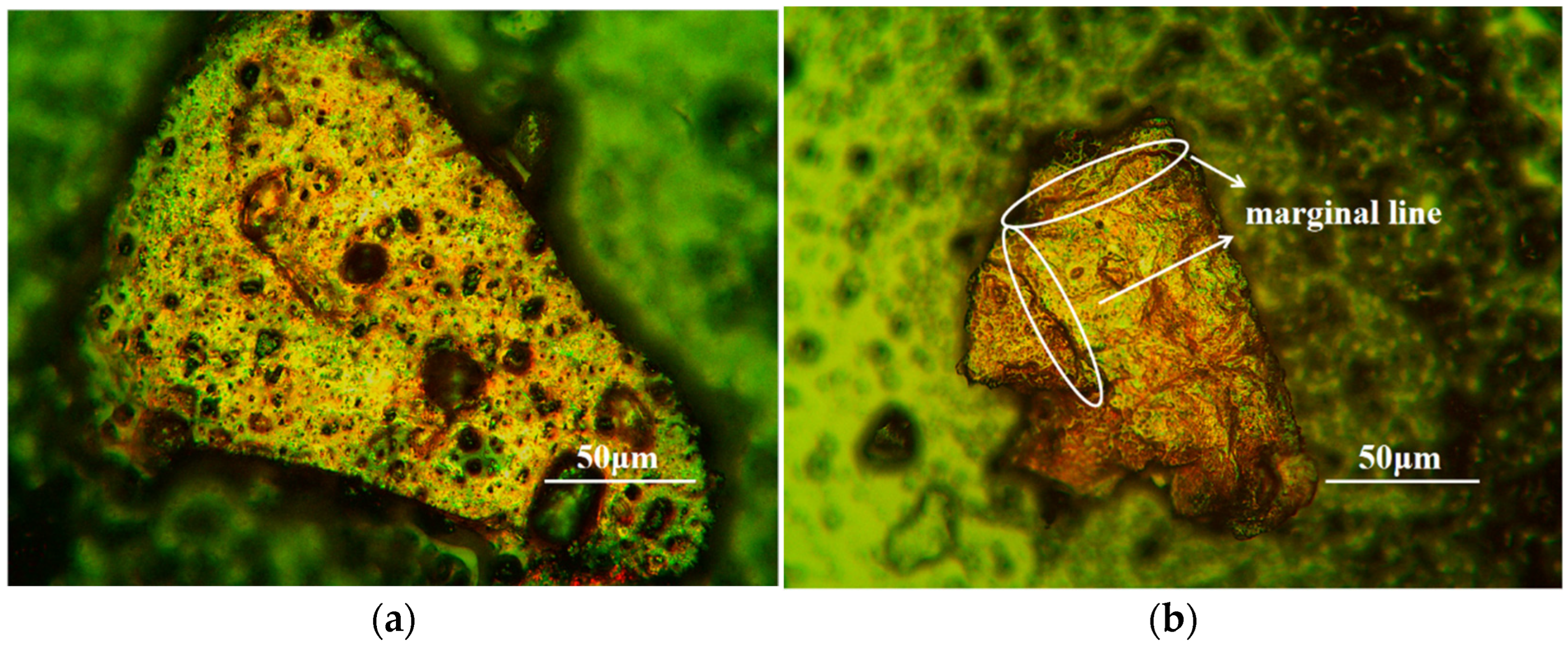 Lubricants 13 00107 g010