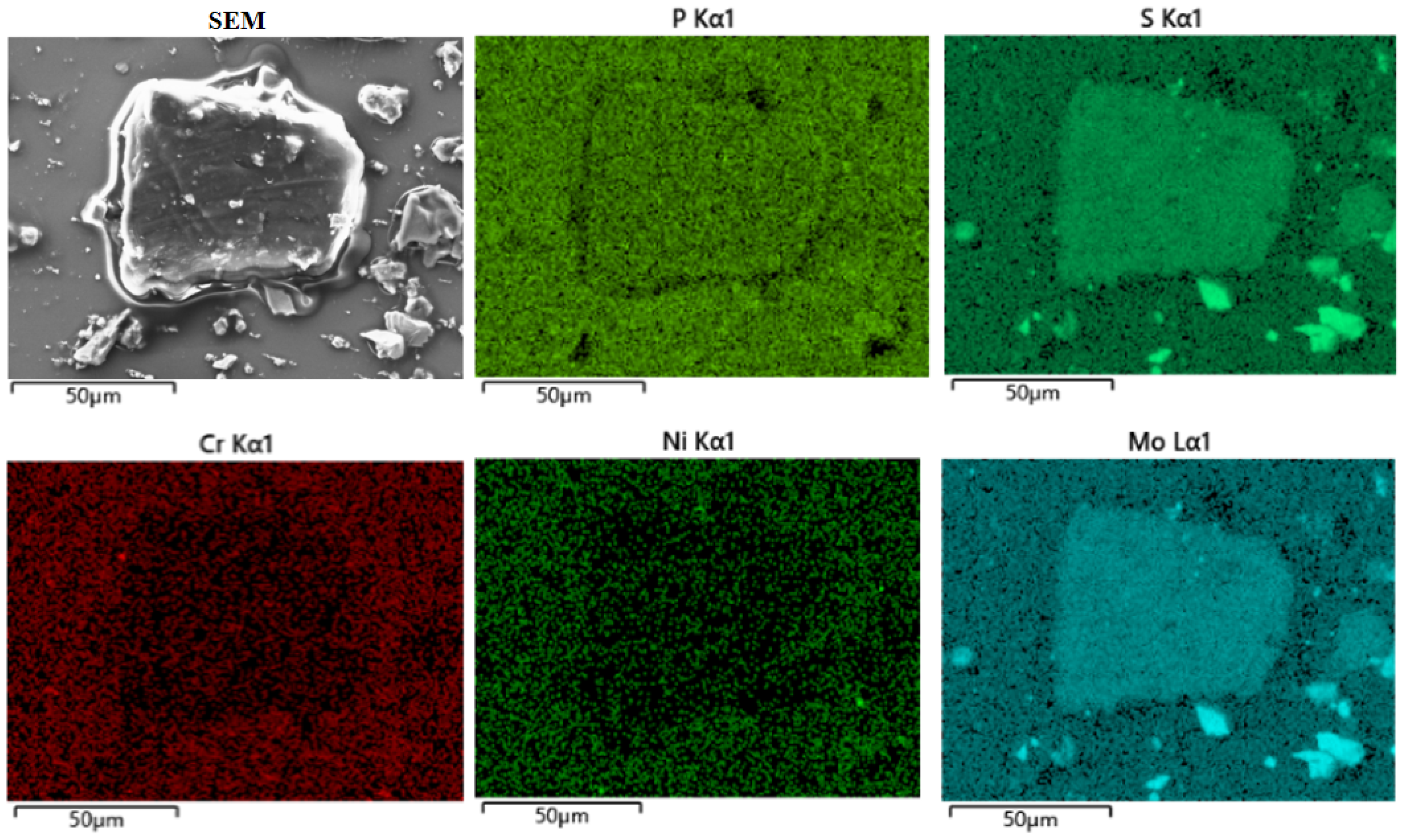 Lubricants 13 00107 g013