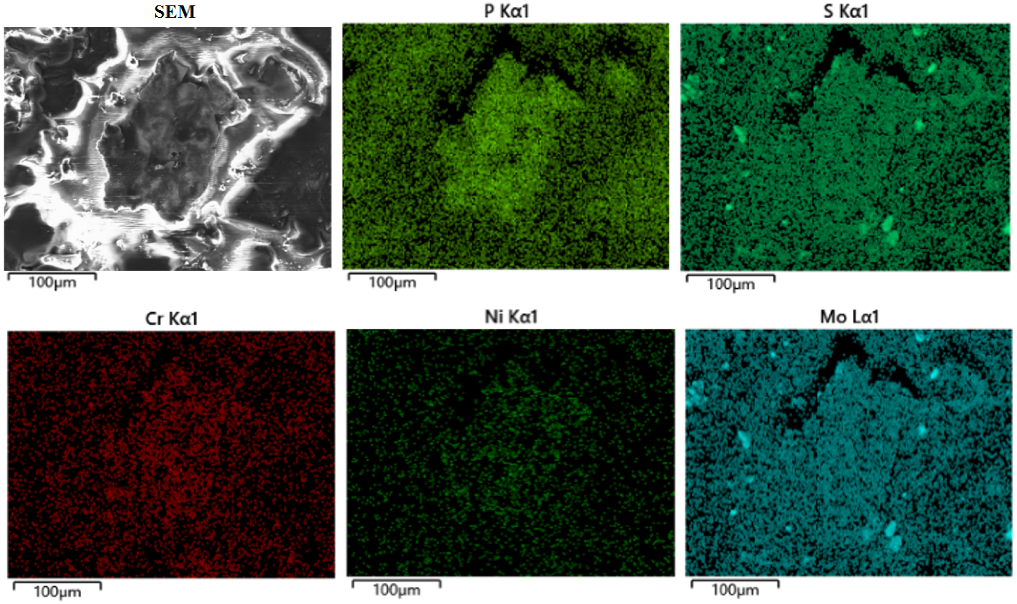 Lubricants 13 00107 g014