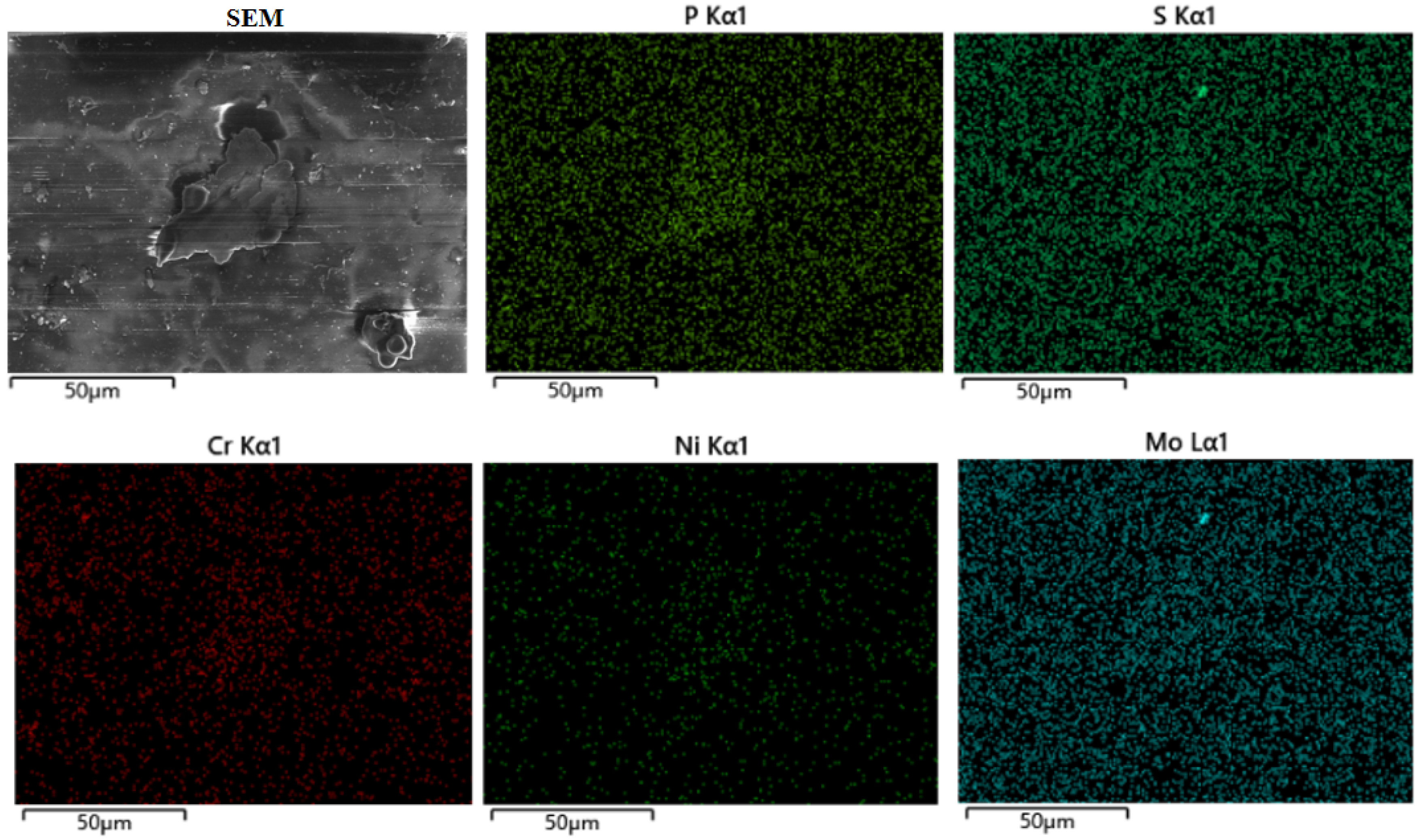 Lubricants 13 00107 g015