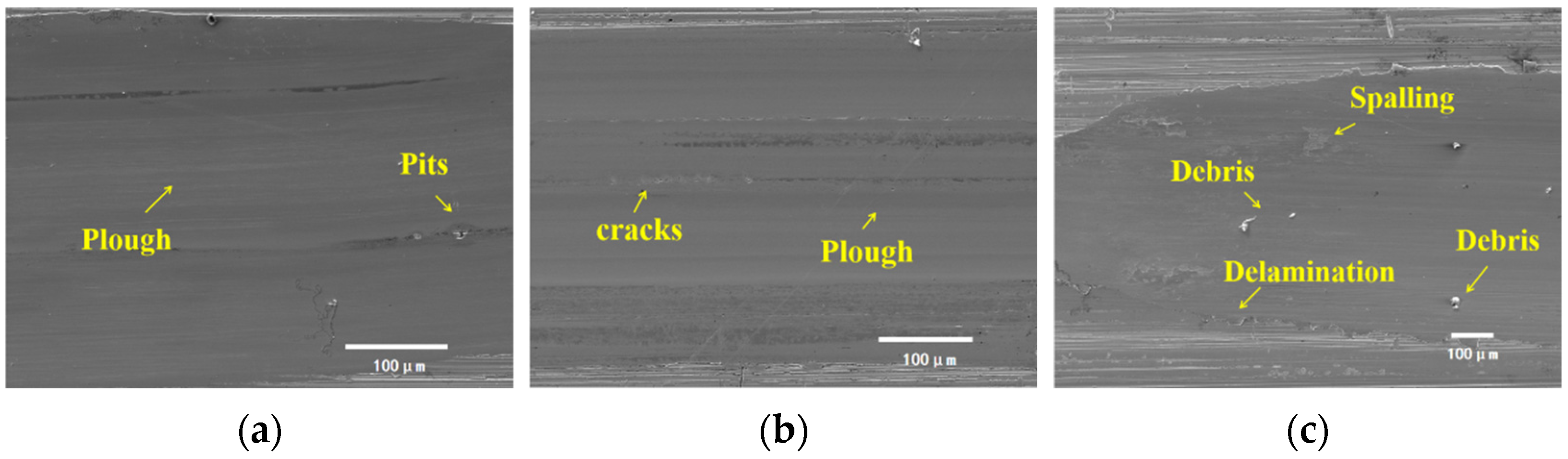 Lubricants 13 00107 g020