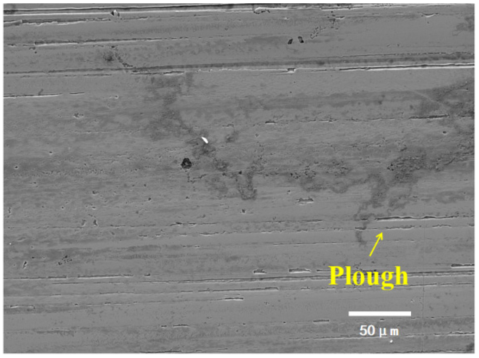 Lubricants 13 00107 g021