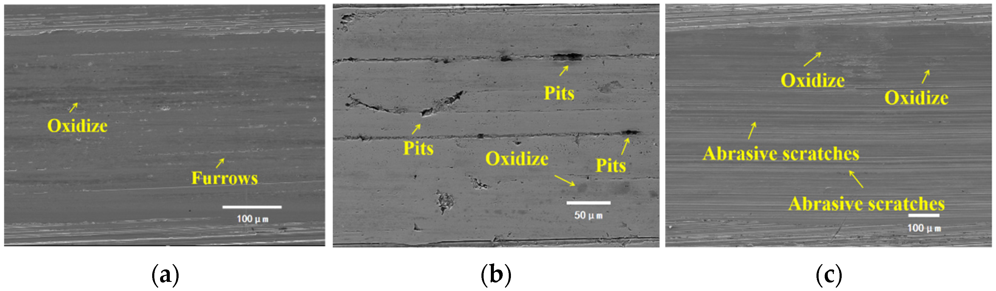 Lubricants 13 00107 g024