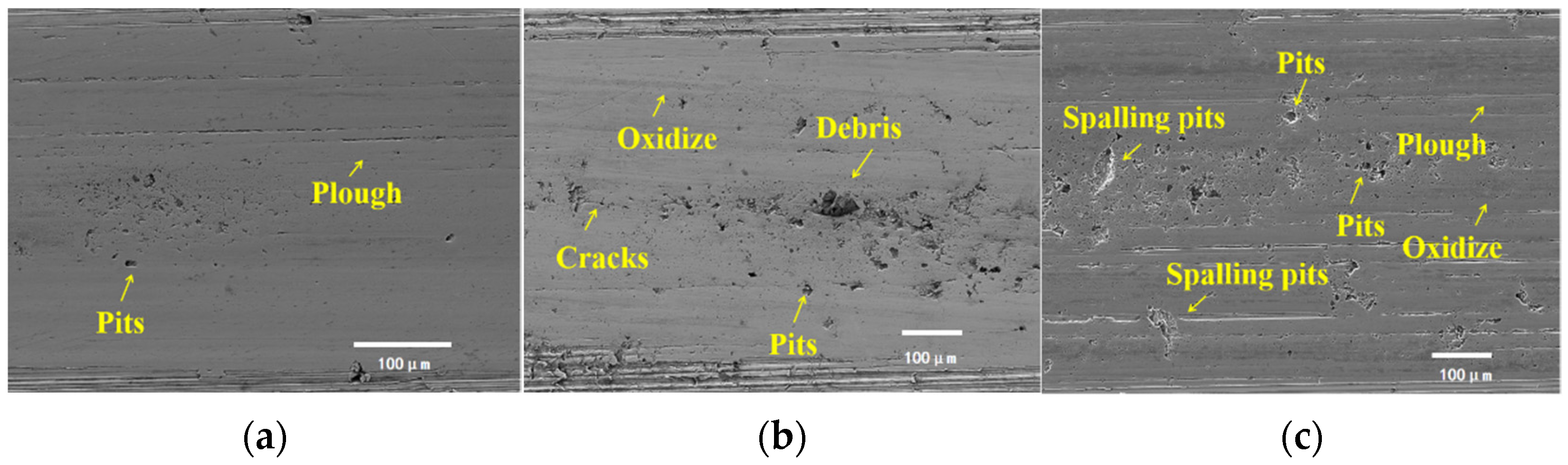 Lubricants 13 00107 g026