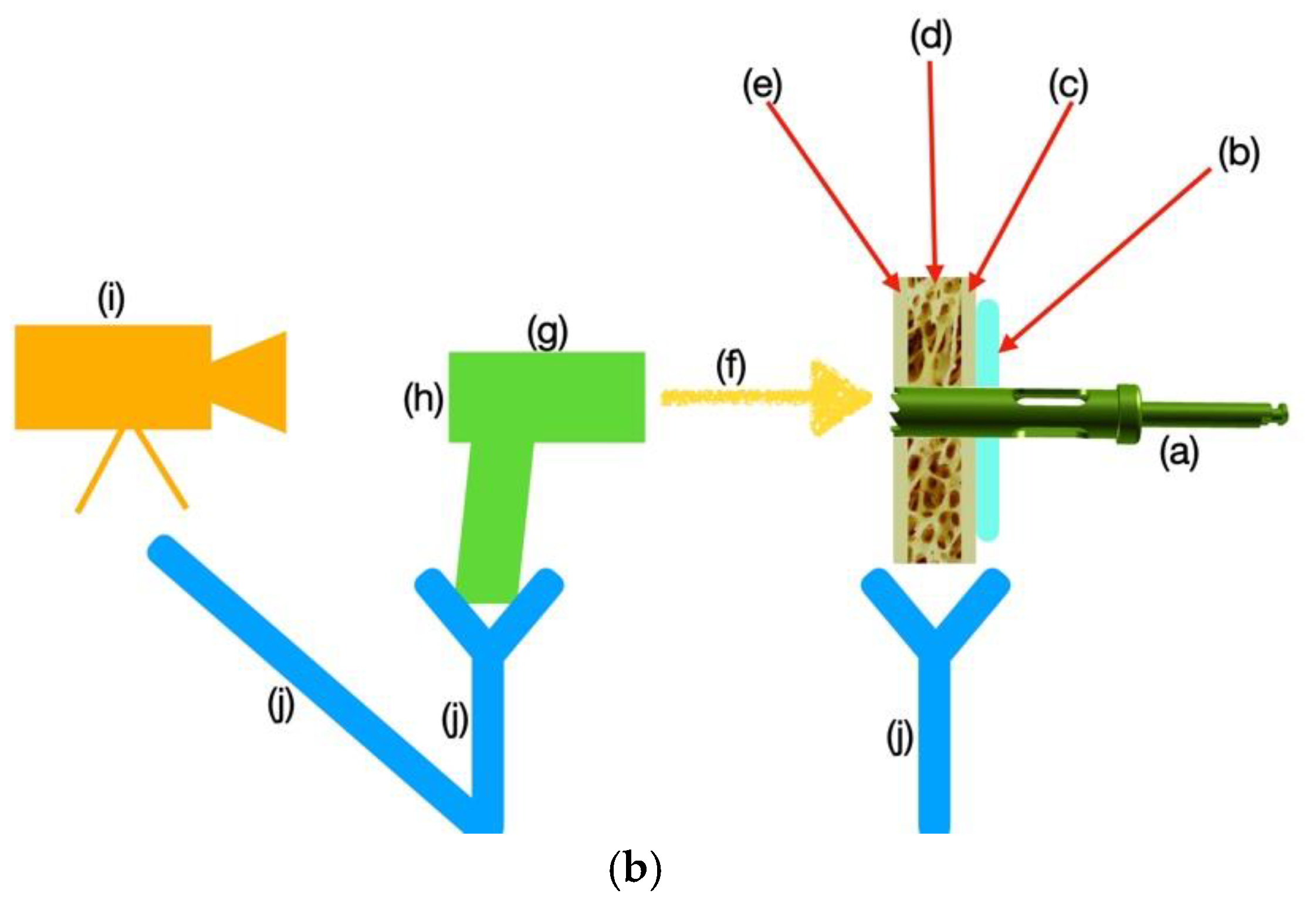 Lubricants 13 00115 g004b
