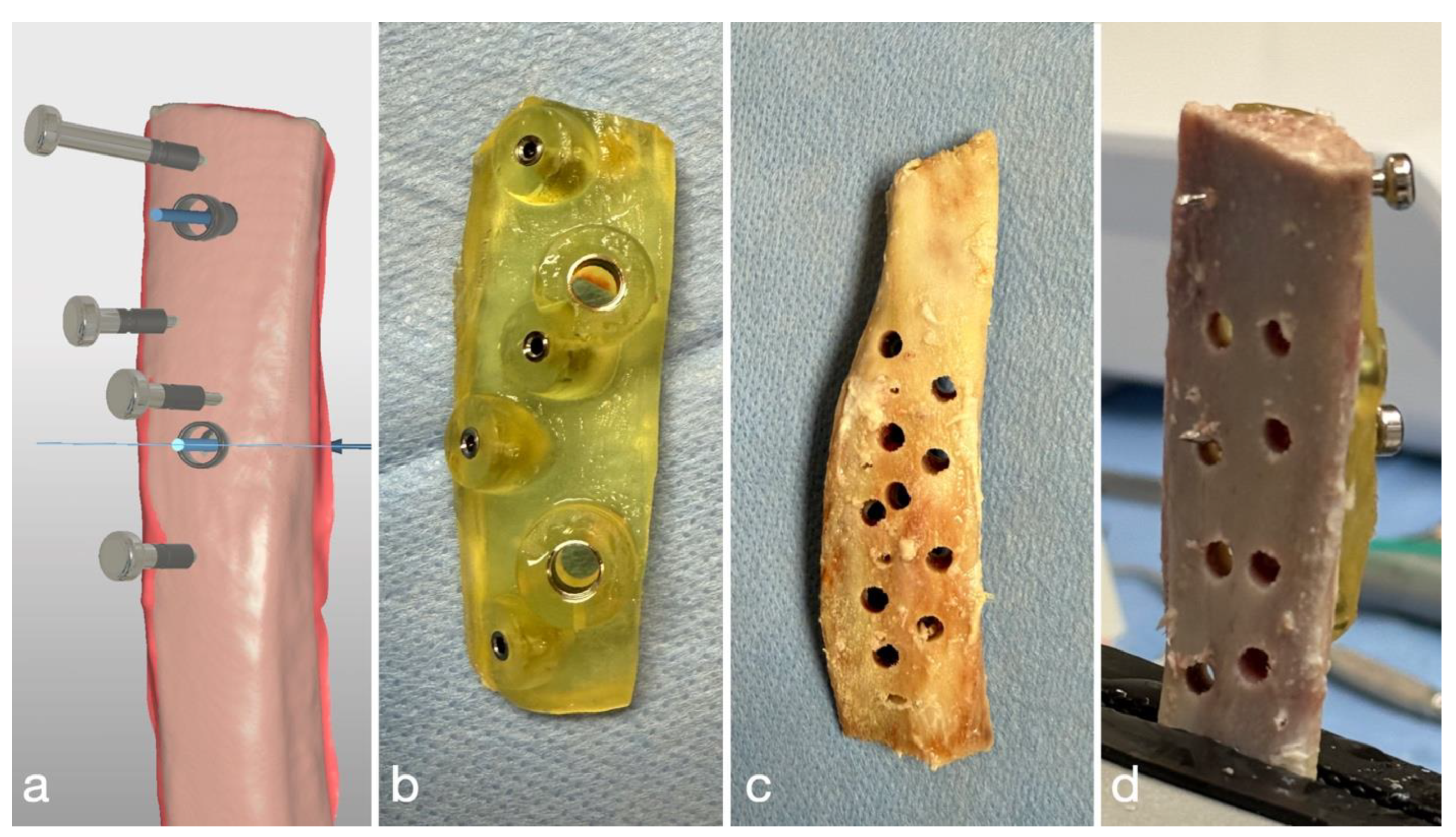 Lubricants 13 00115 g005