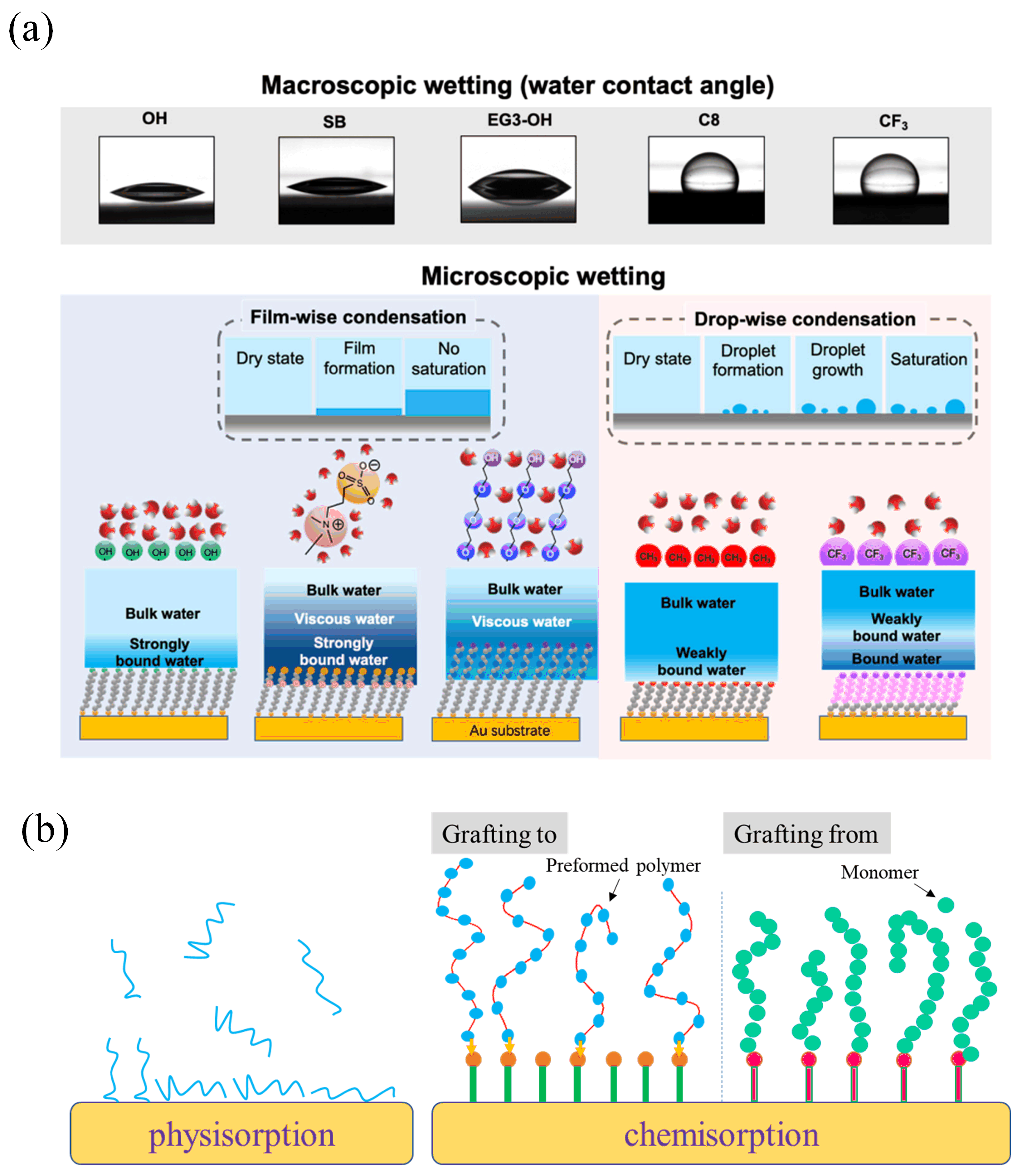 Lubricants 13 00119 g002