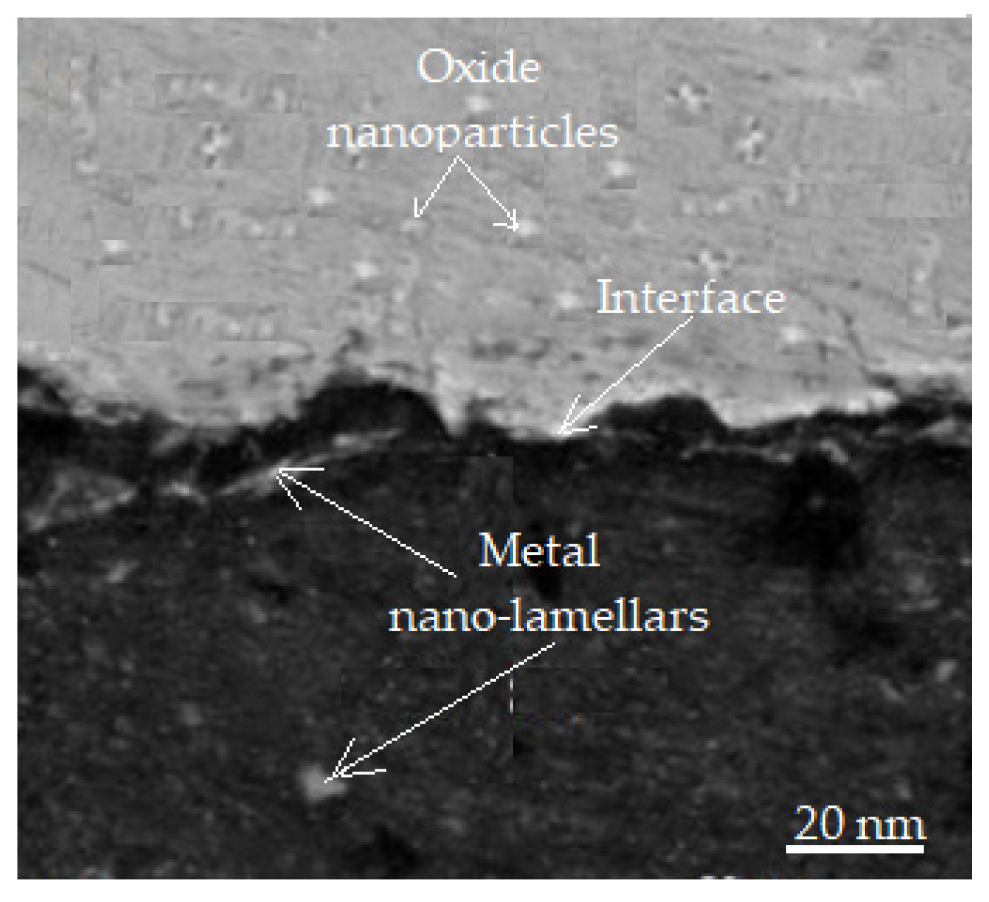 Lubricants 13 00135 g011 Lubricants 13 00135 g011