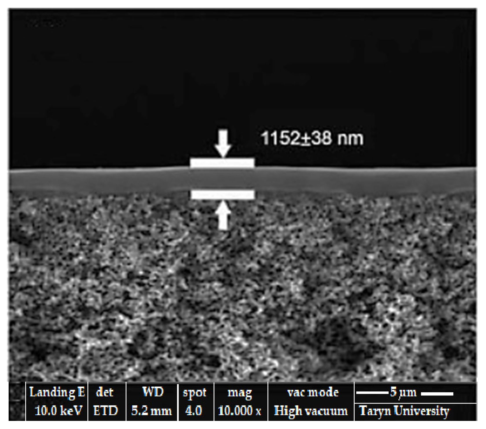 Lubricants 13 00135 g013 Lubricants 13 00135 g013