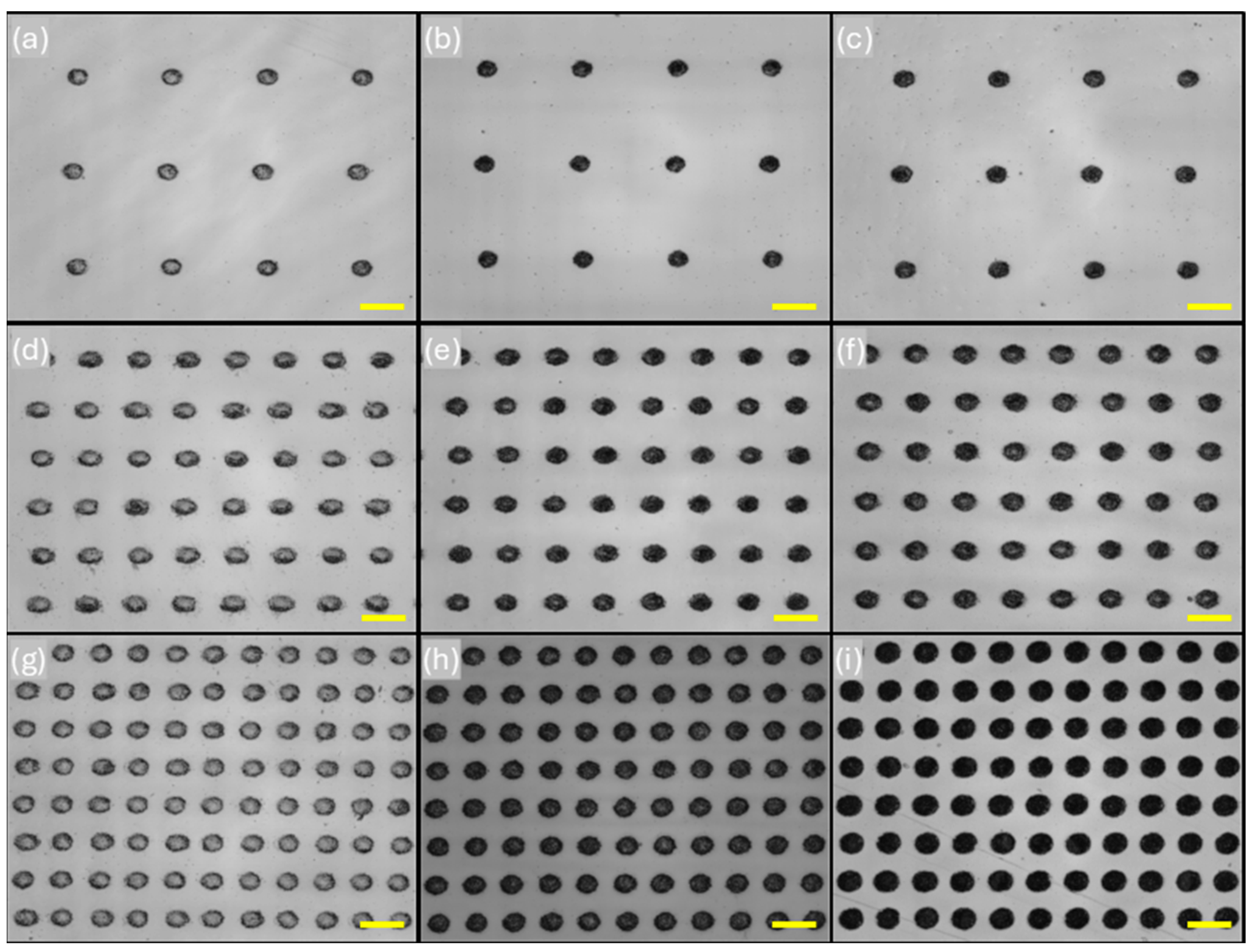 Lubricants 13 00158 g003
