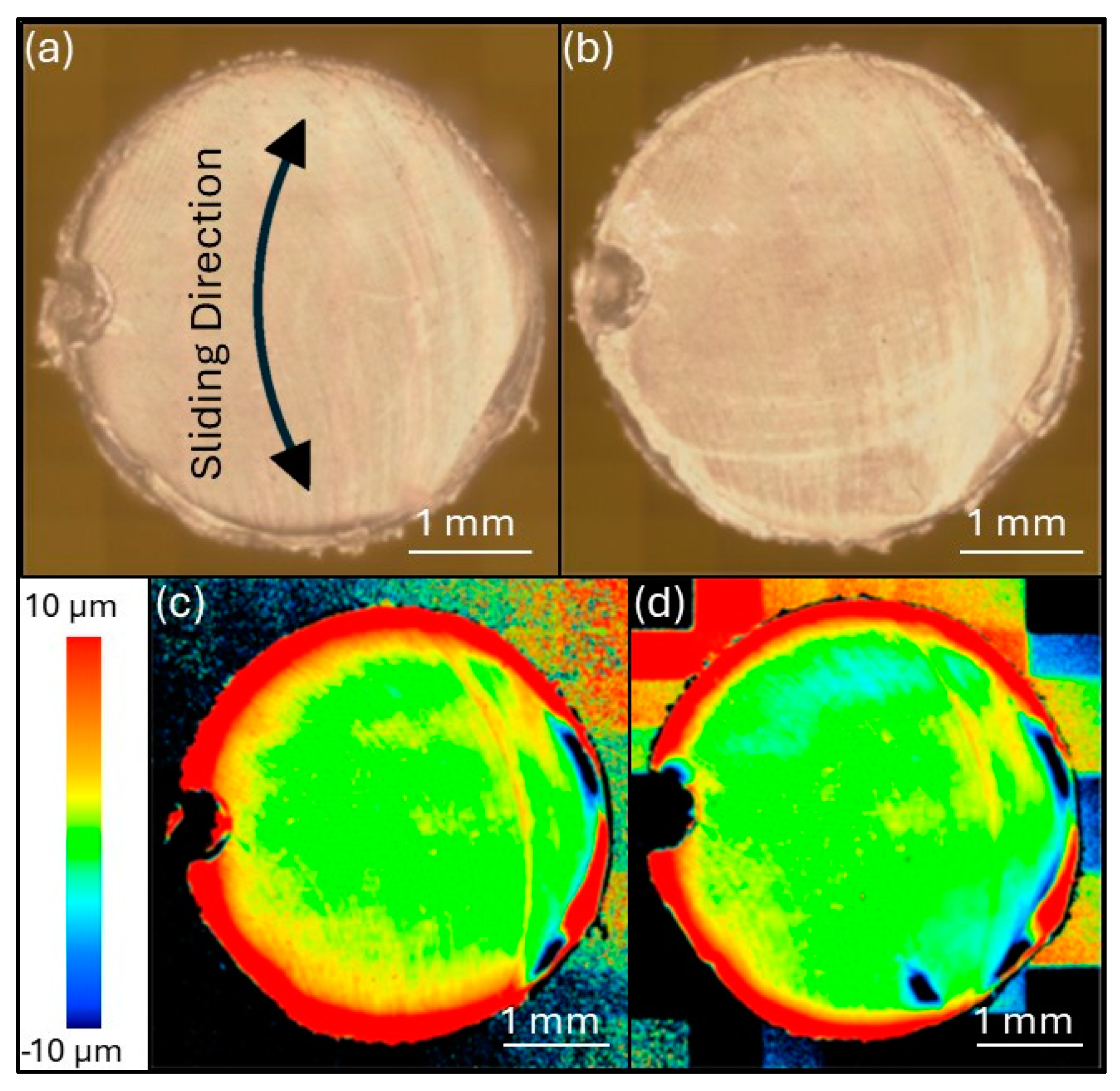 Lubricants 13 00158 g012