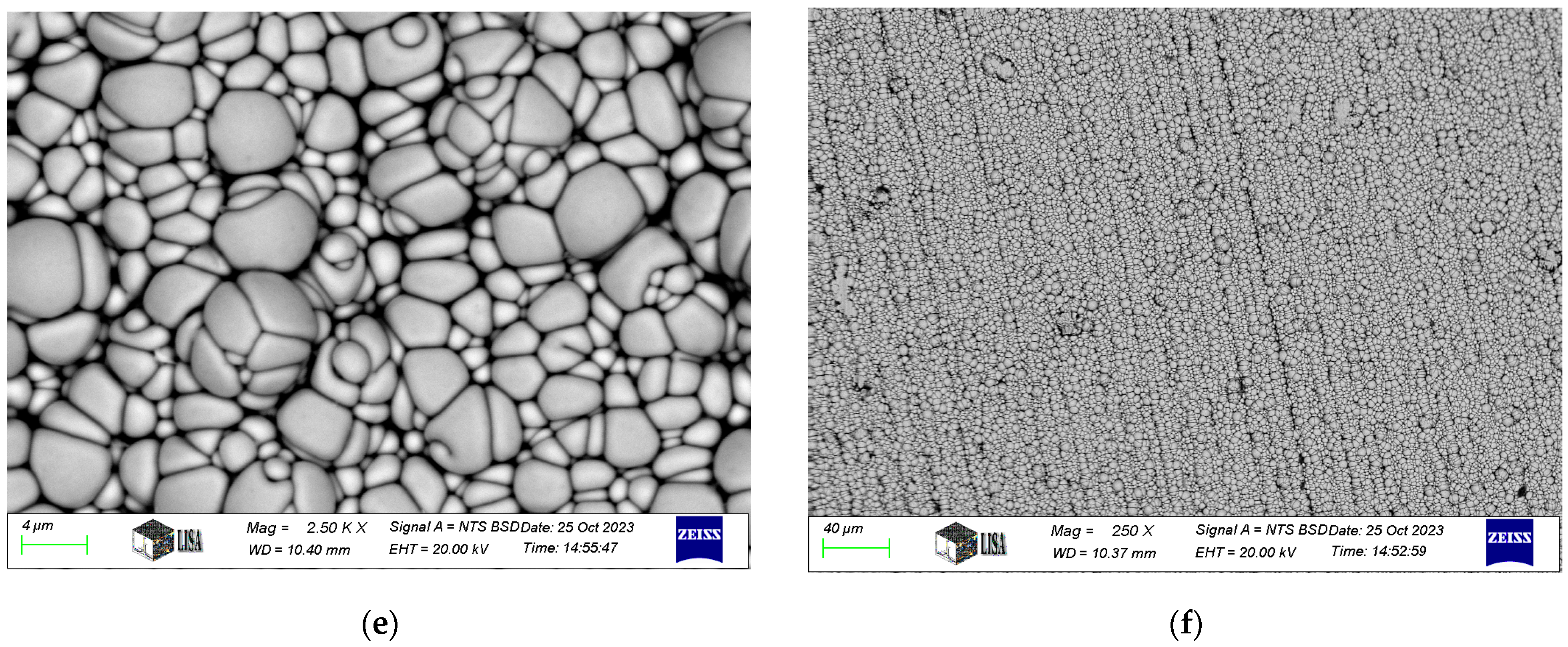 Lubricants 13 00168 g002b