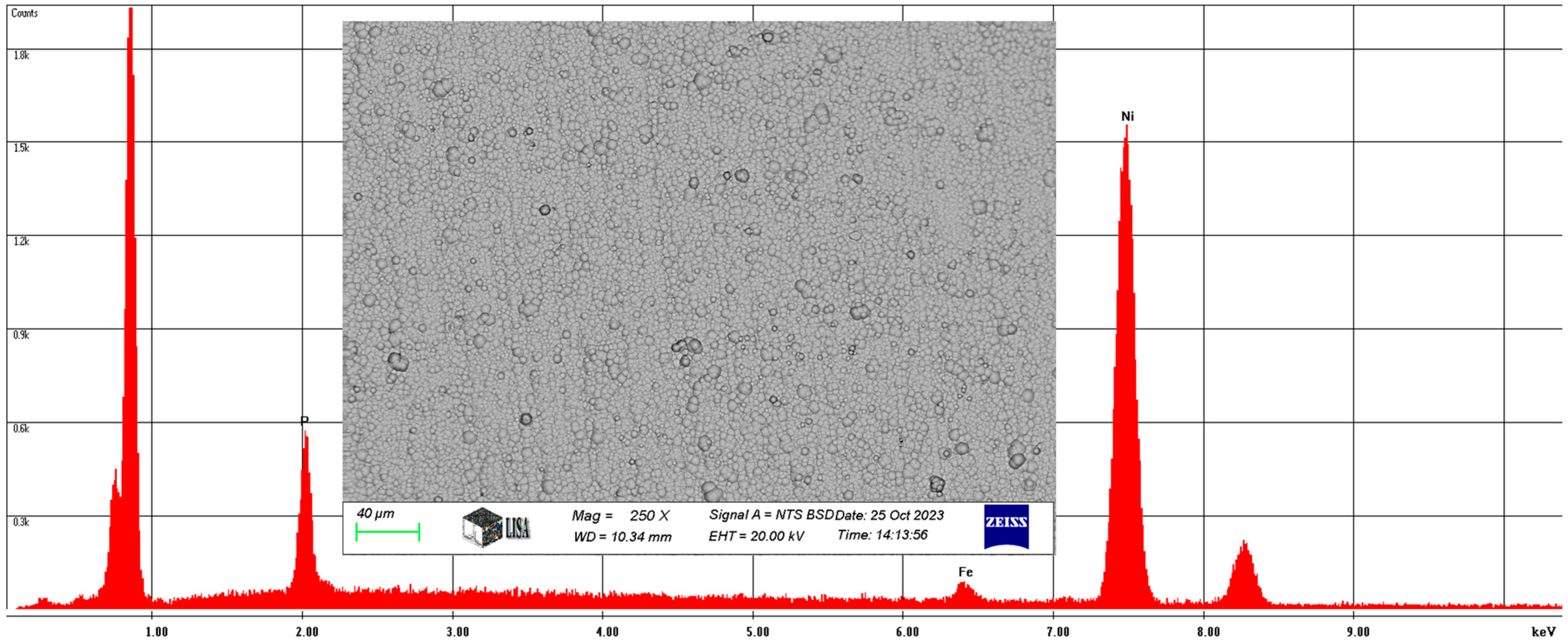 Lubricants 13 00168 g005