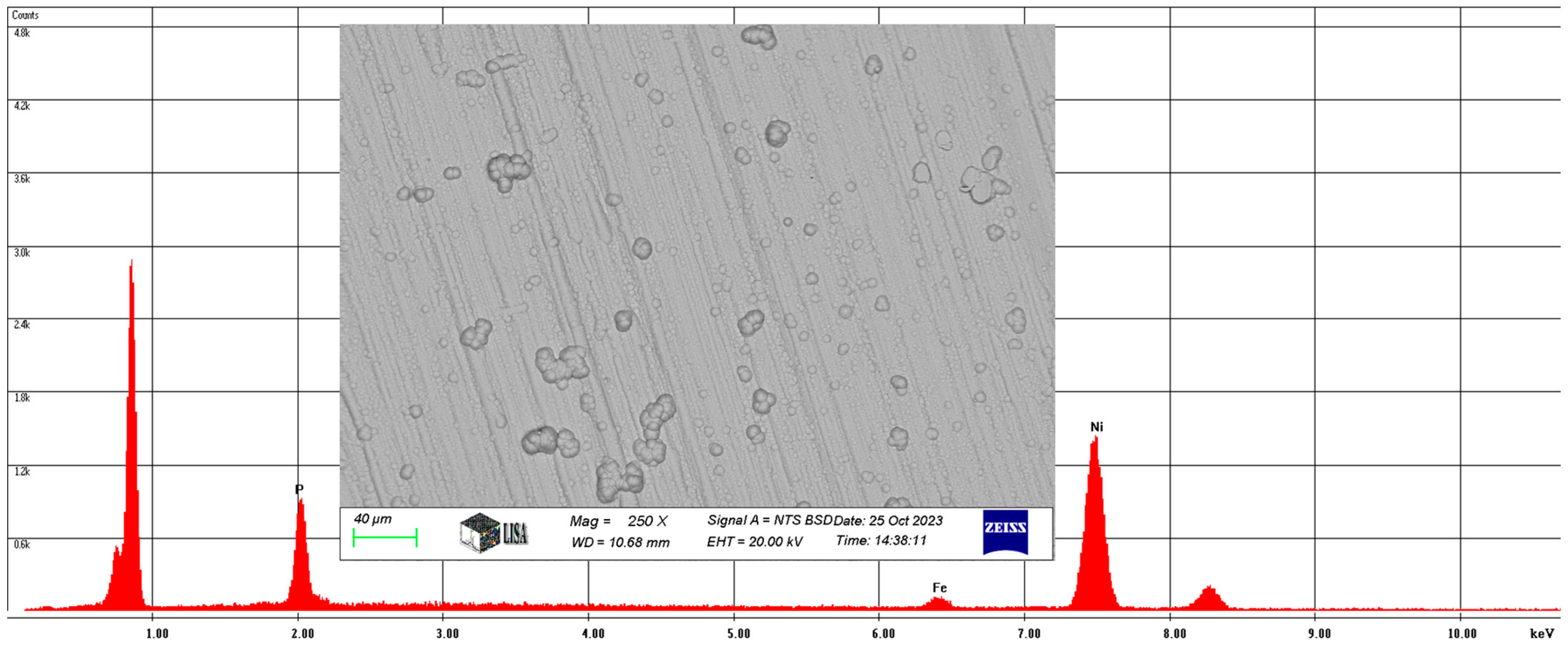 Lubricants 13 00168 g006