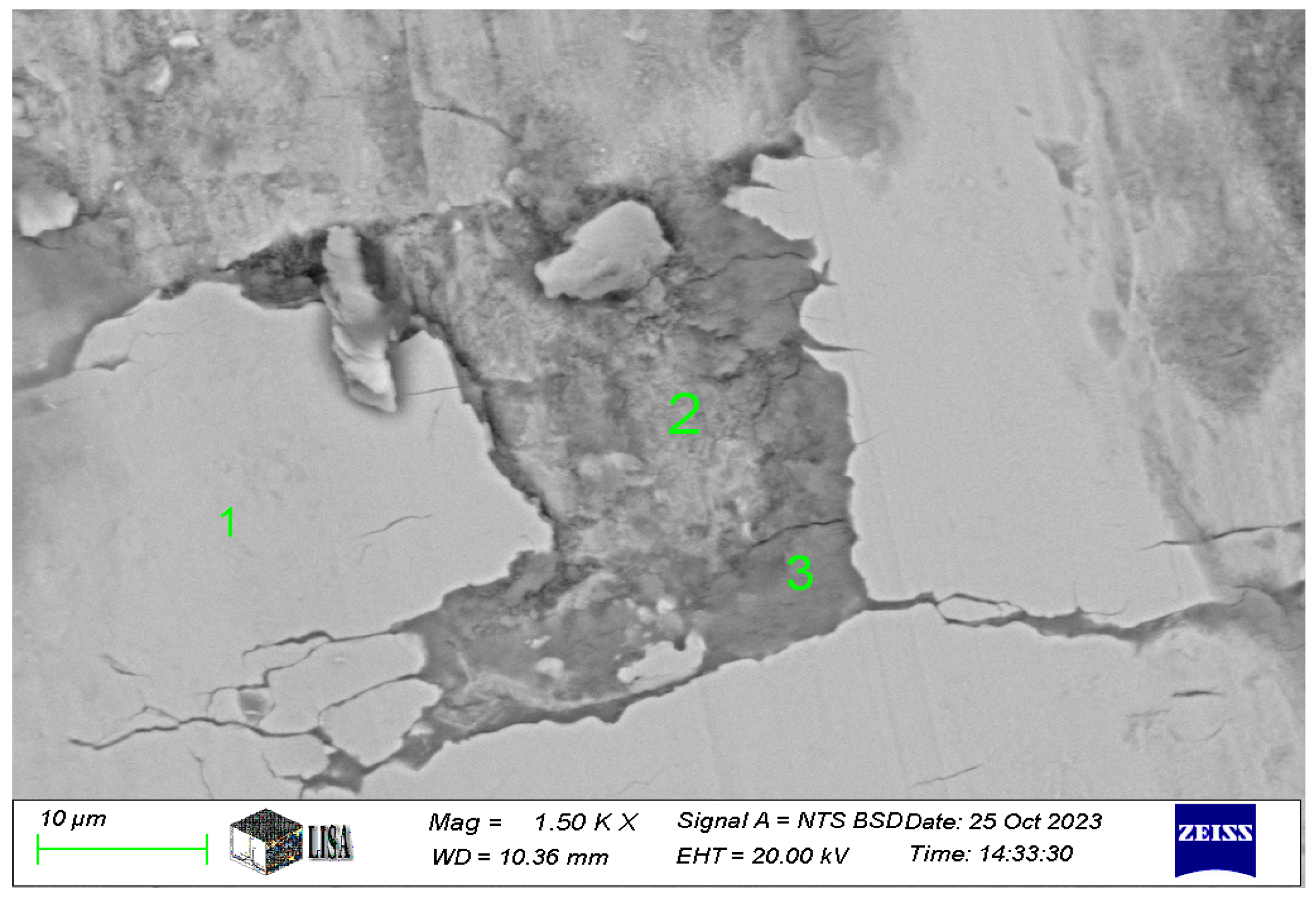 Lubricants 13 00168 g011