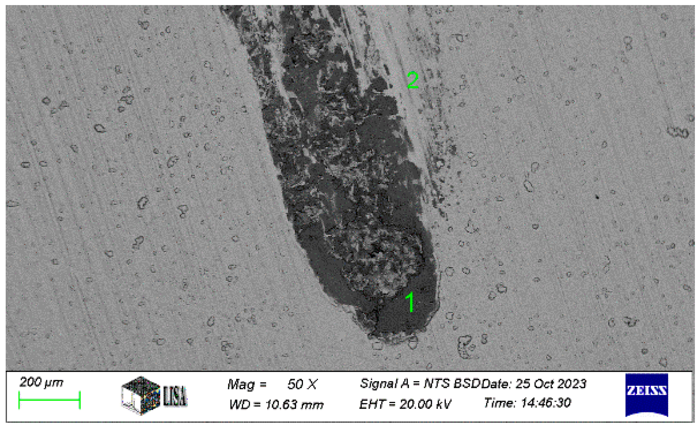 Lubricants 13 00168 g012