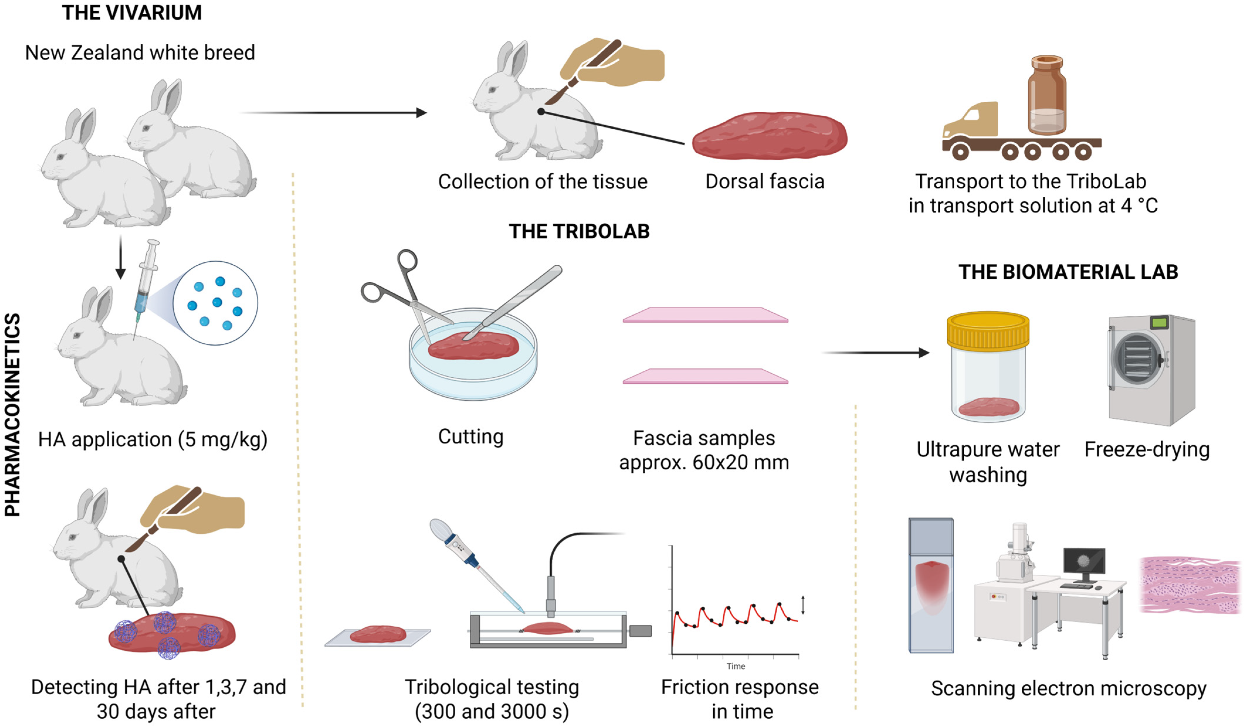 Lubricants 13 00184 g001