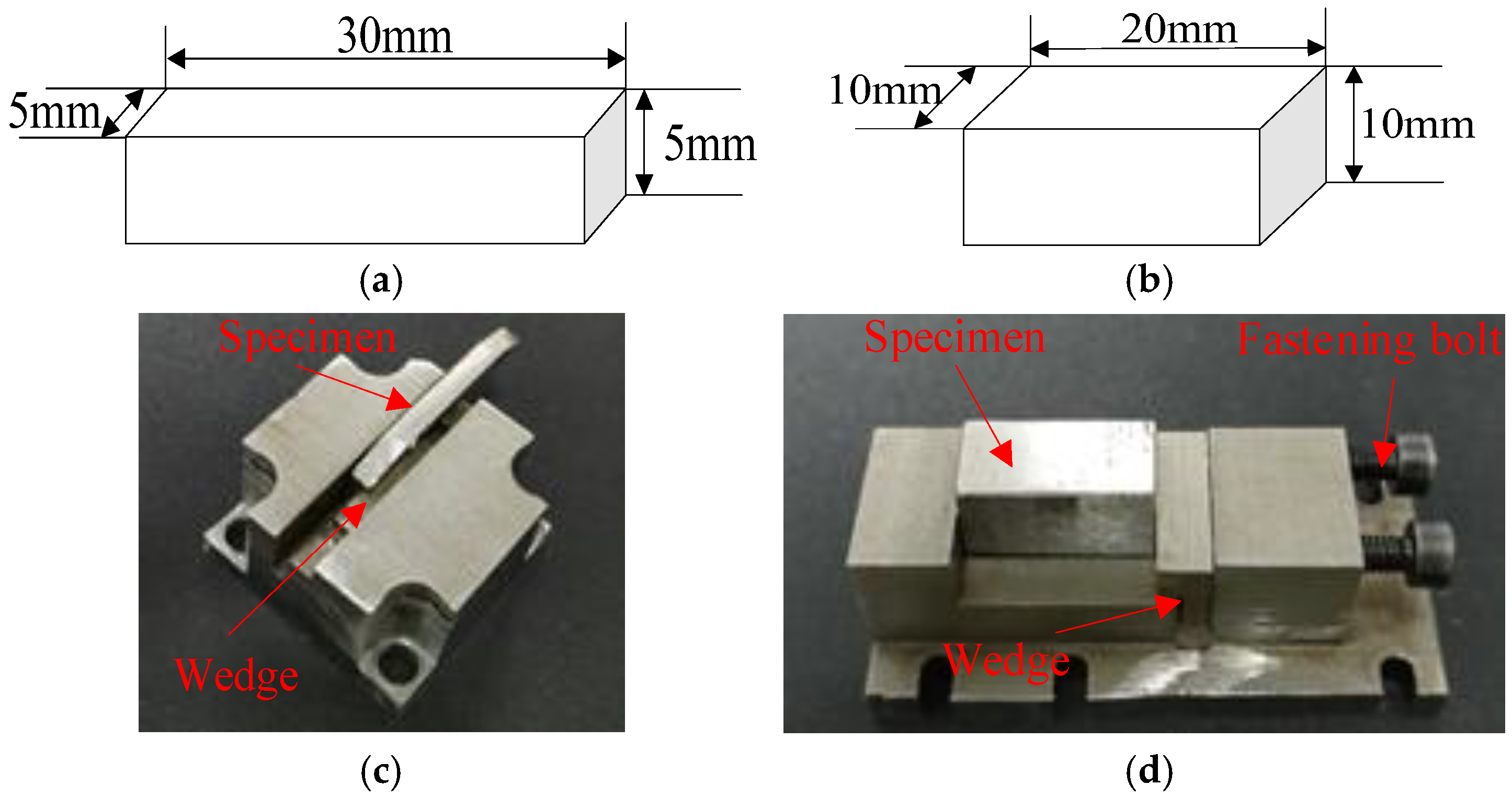 Lubricants 13 00185 g002
