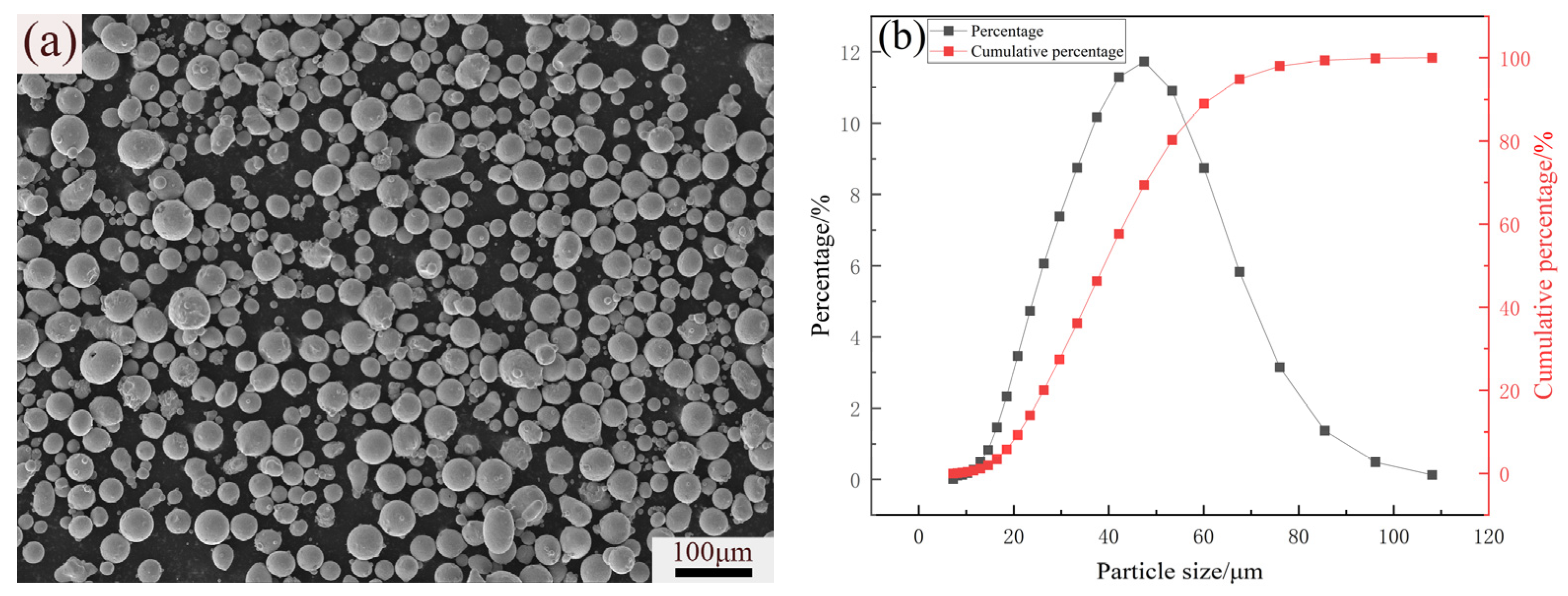 Lubricants 13 00189 g001