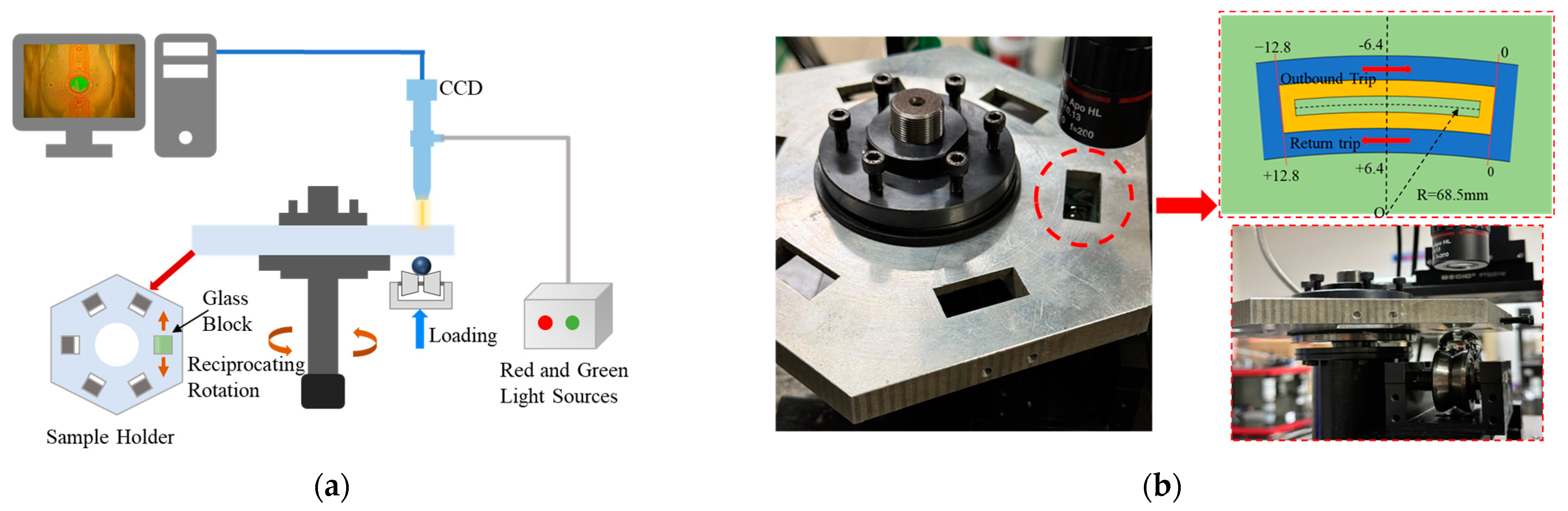 Lubricants 13 00193 g005