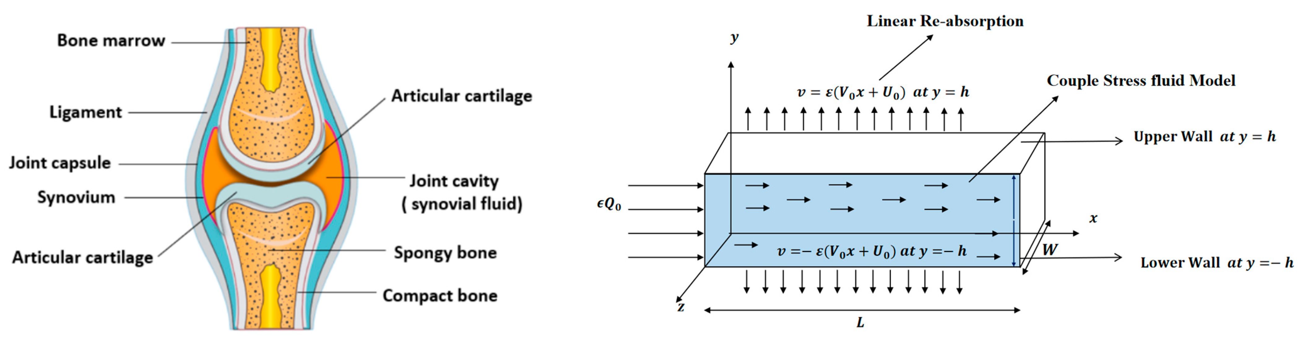 Lubricants 13 00196 g001