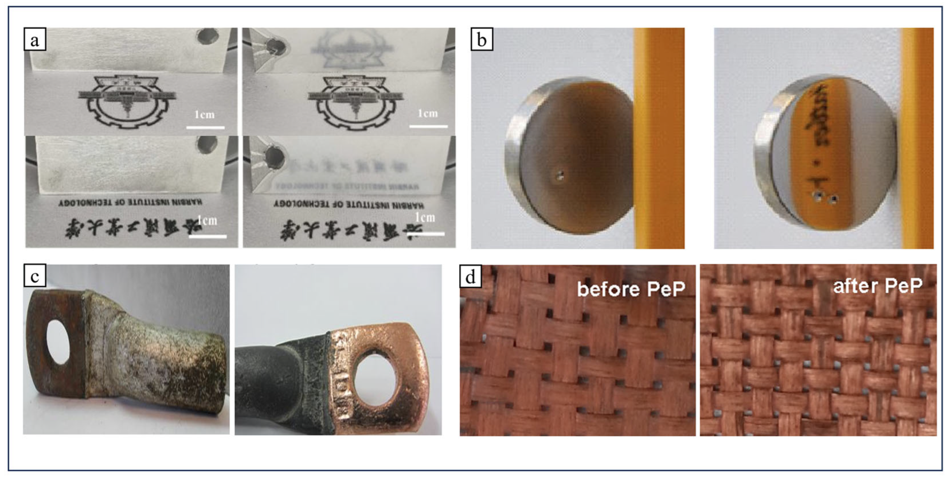 Lubricants 13 00412 g016 Lubricants 13 00412 g016