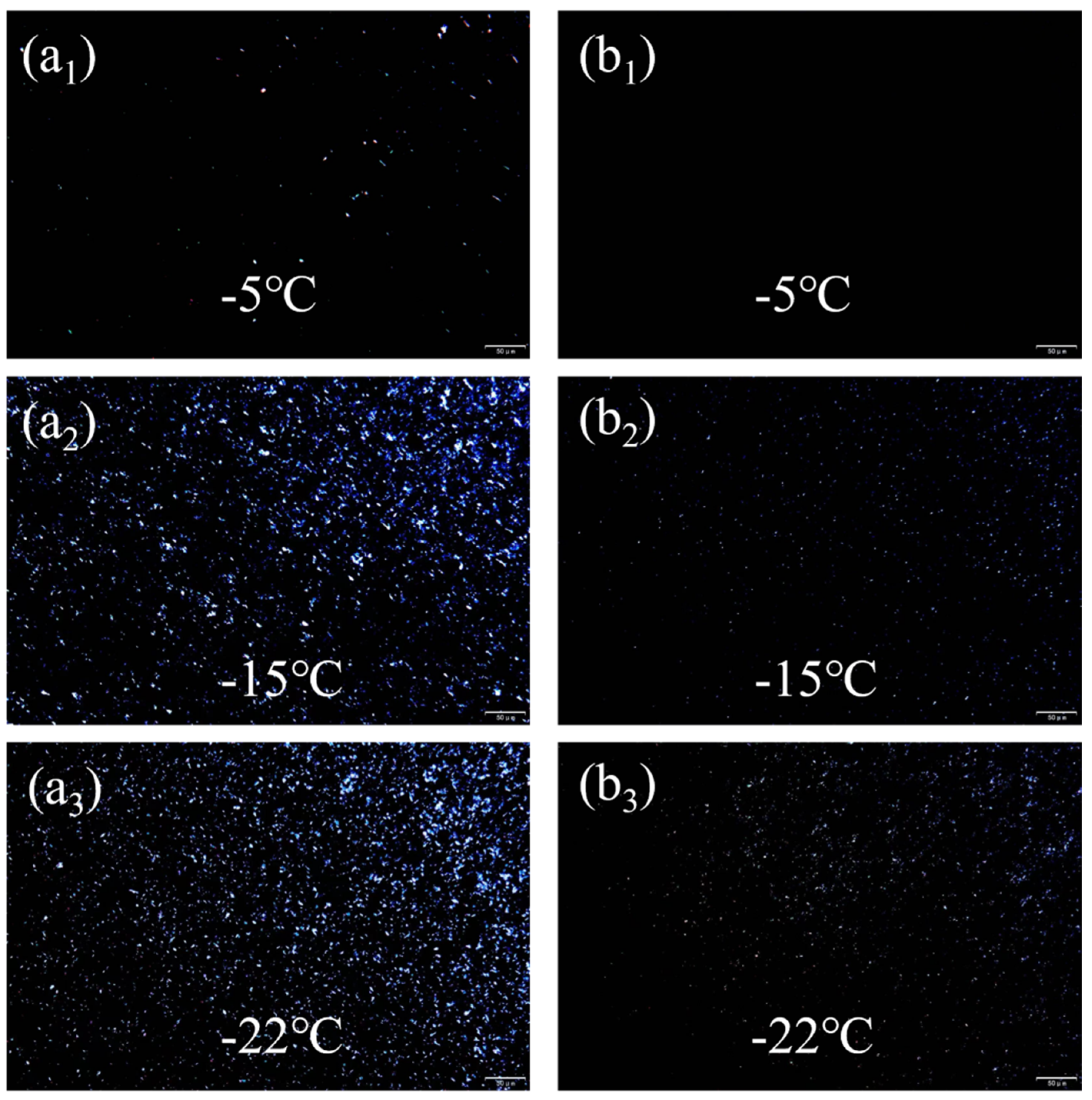 Lubricants 13 00417 g010 Lubricants 13 00417 g010